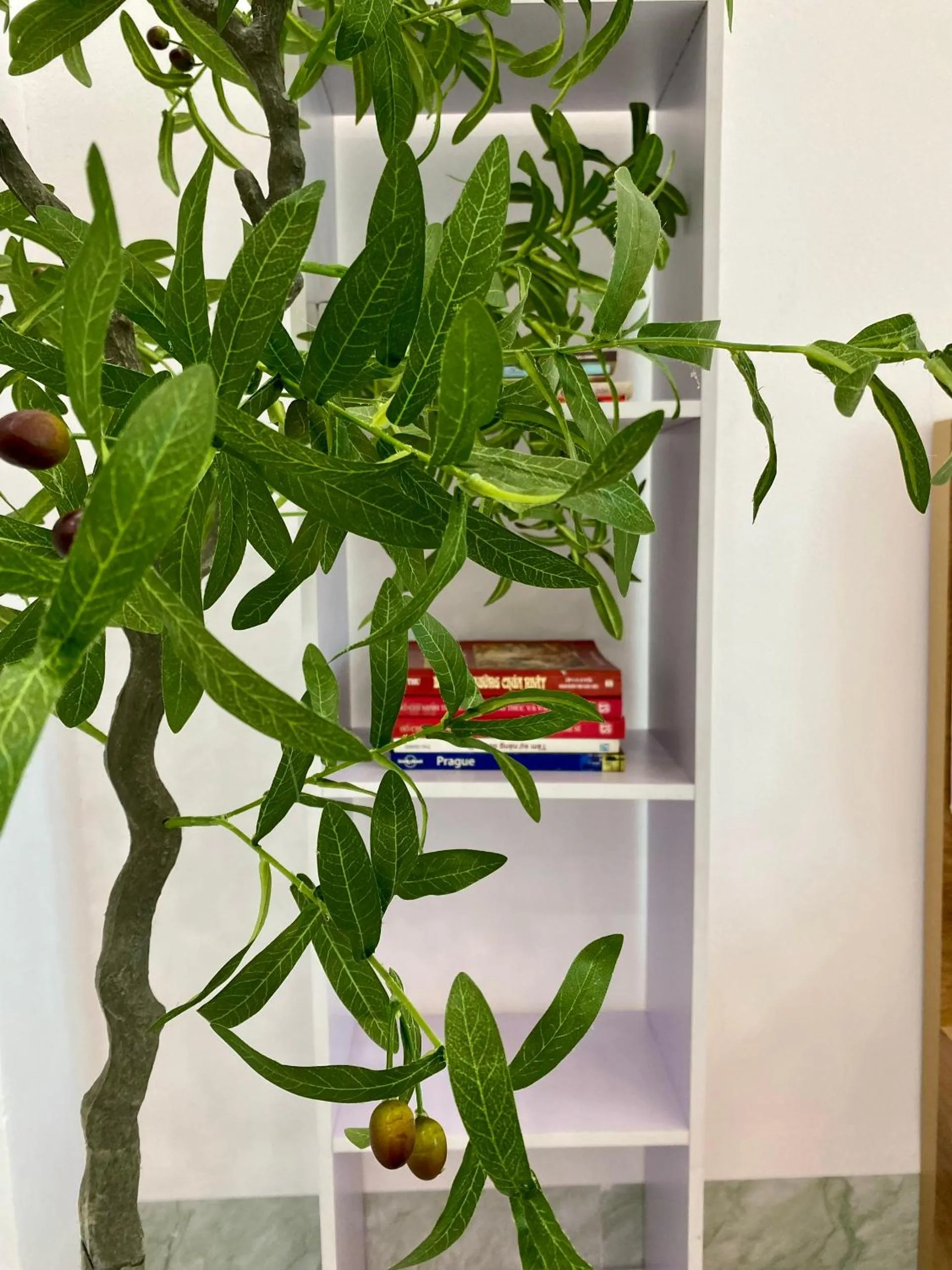Library in Grand C Homestay