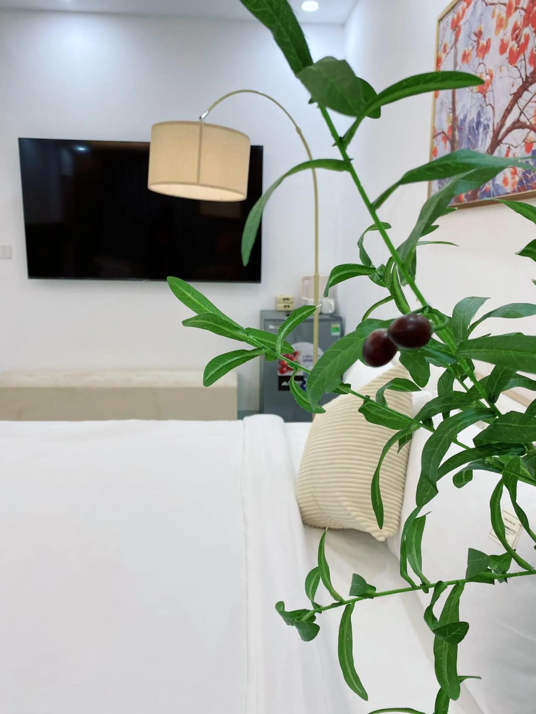 Communal lounge/ TV room in Grand C Homestay