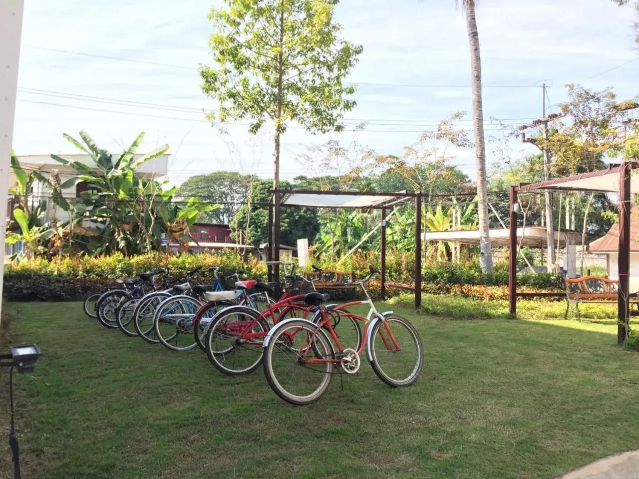 Garden view in A Hotel Simply Garden view in A Hotel Simply