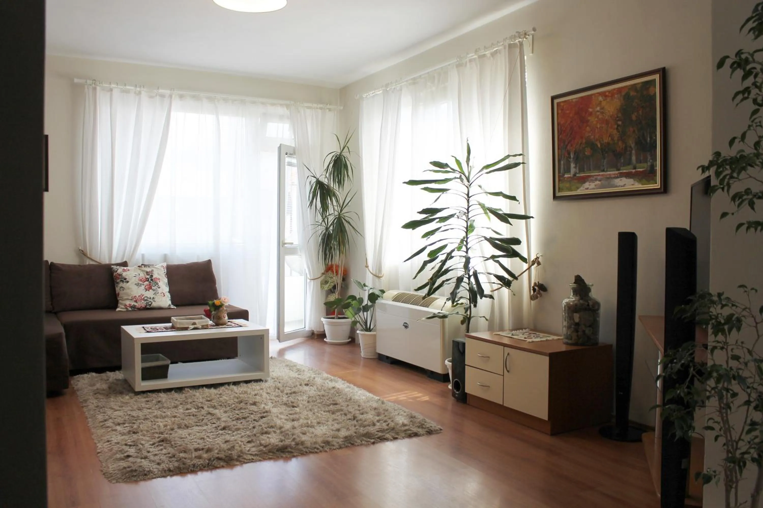 Sunny Day Apartment
