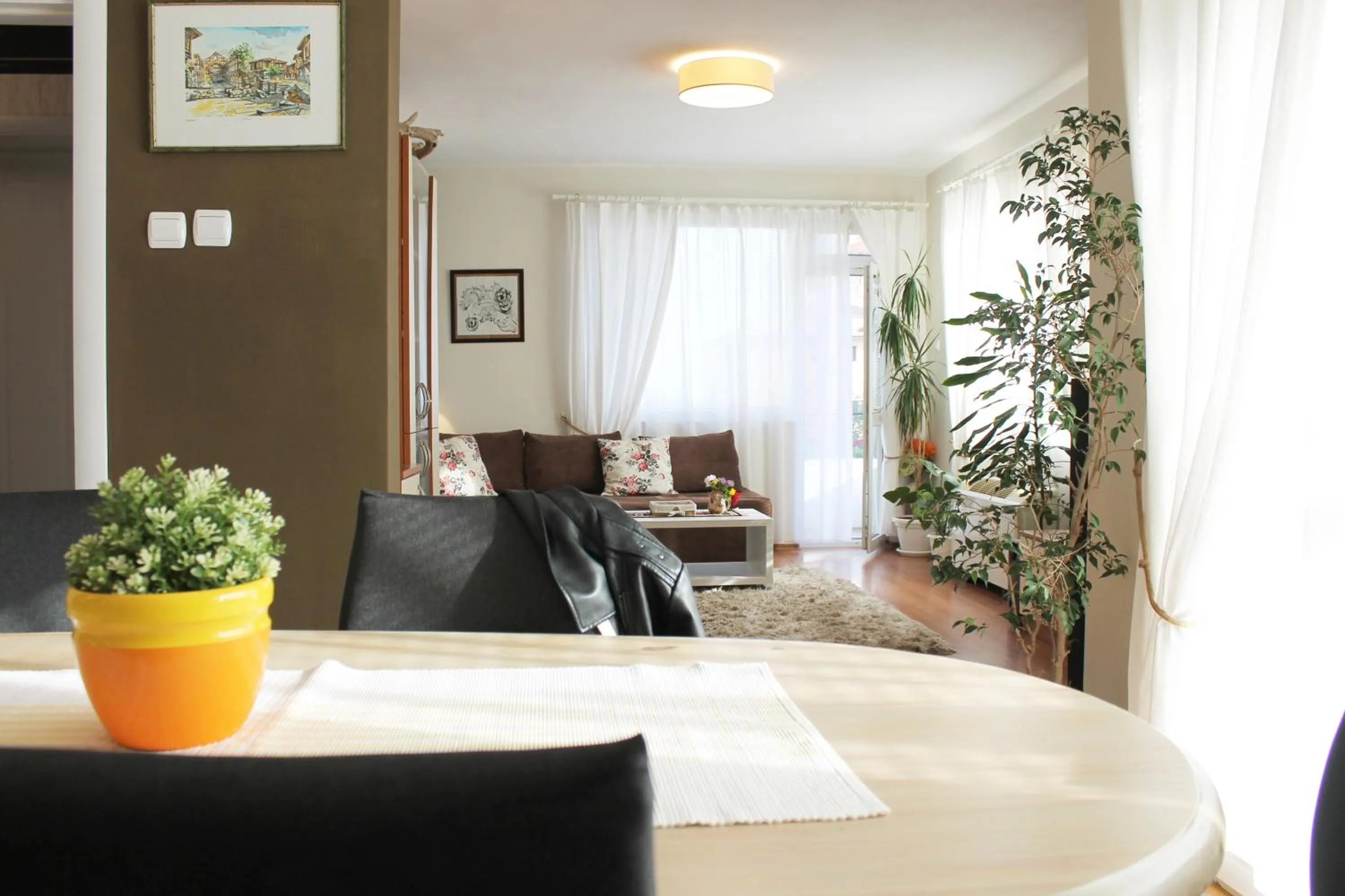 Sunny Day Apartment