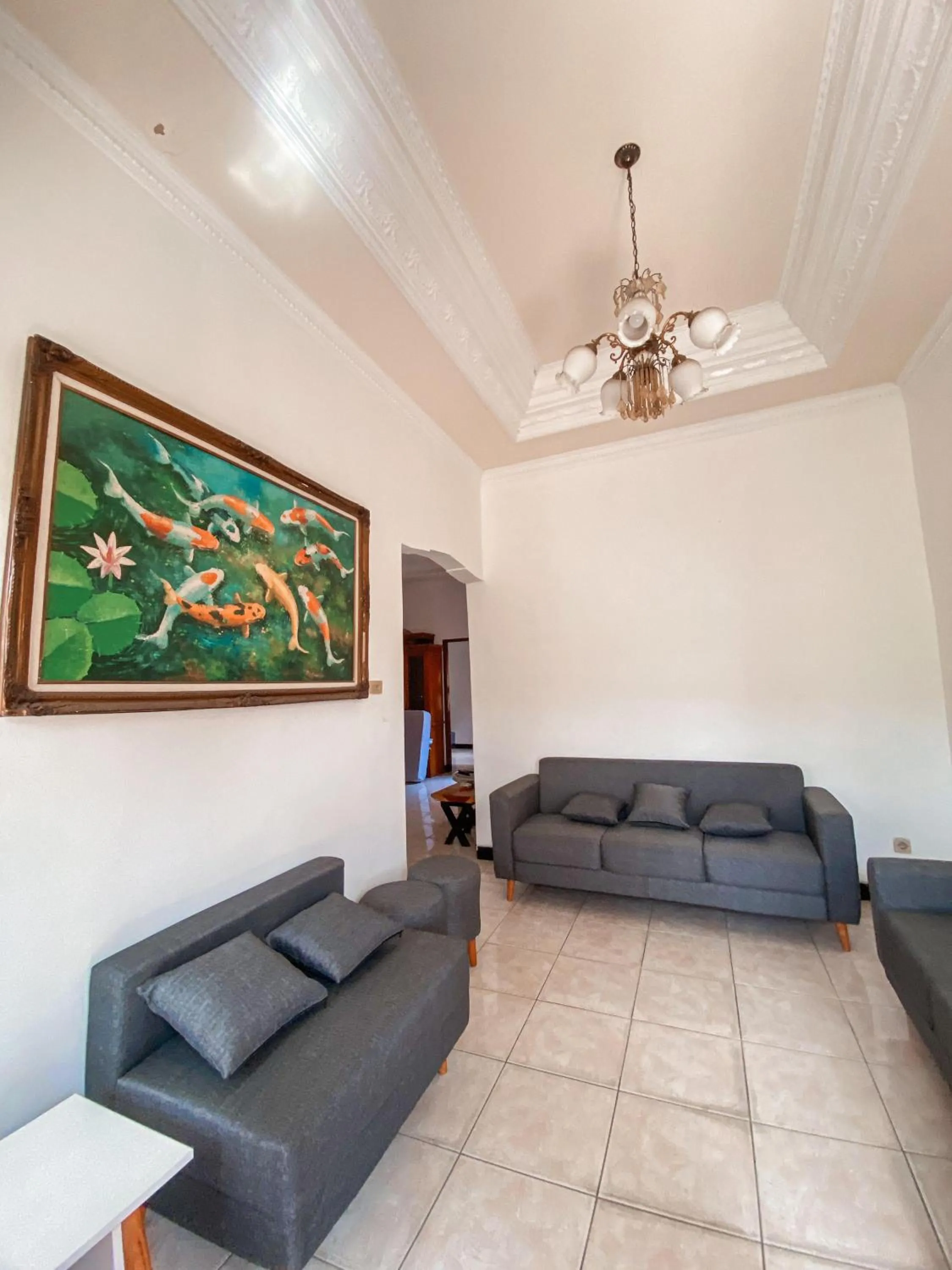 Laura's Backpacker 523