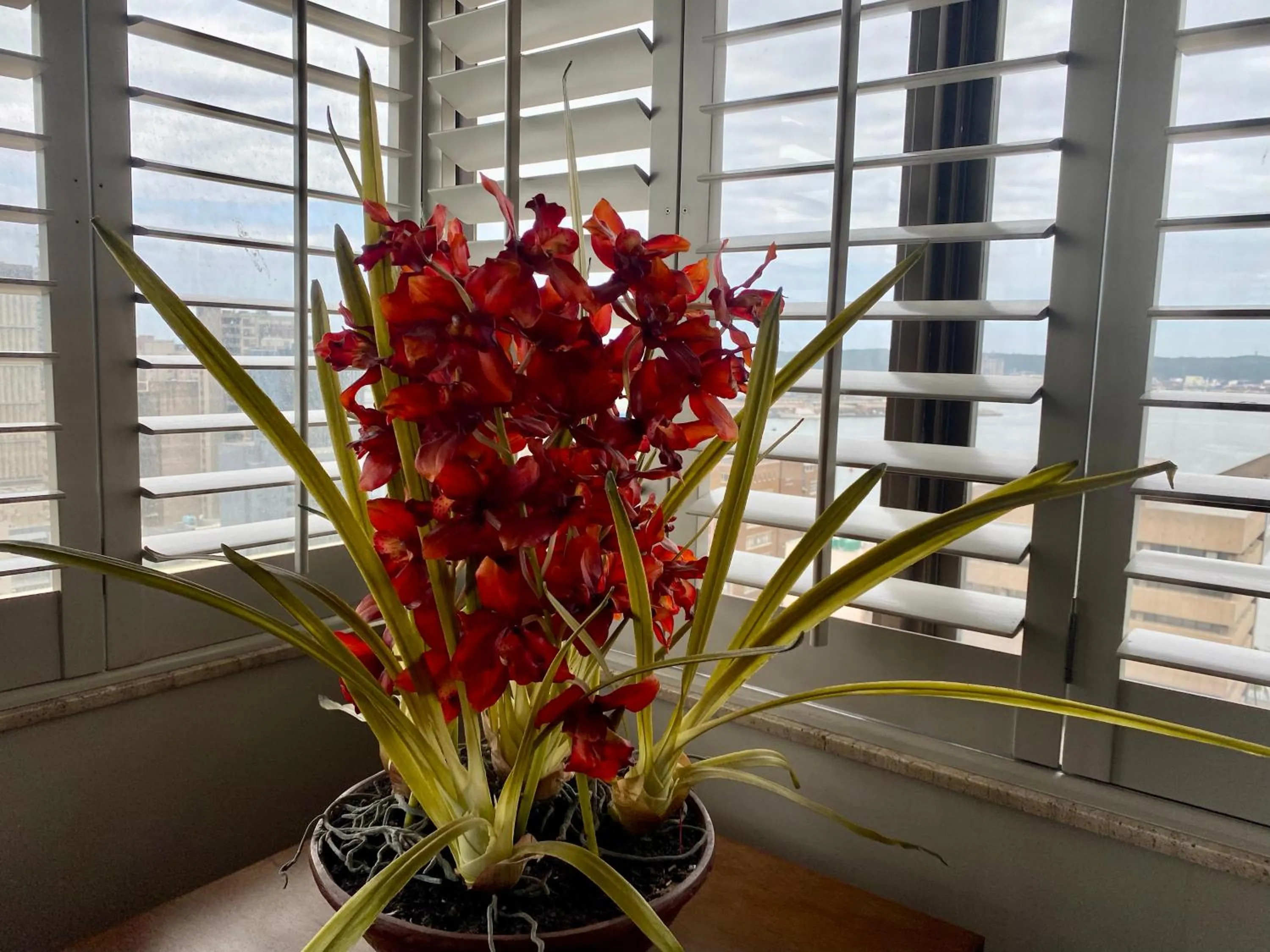 Decorative detail in The Royal Hotel by Coastlands Hotels & Resorts