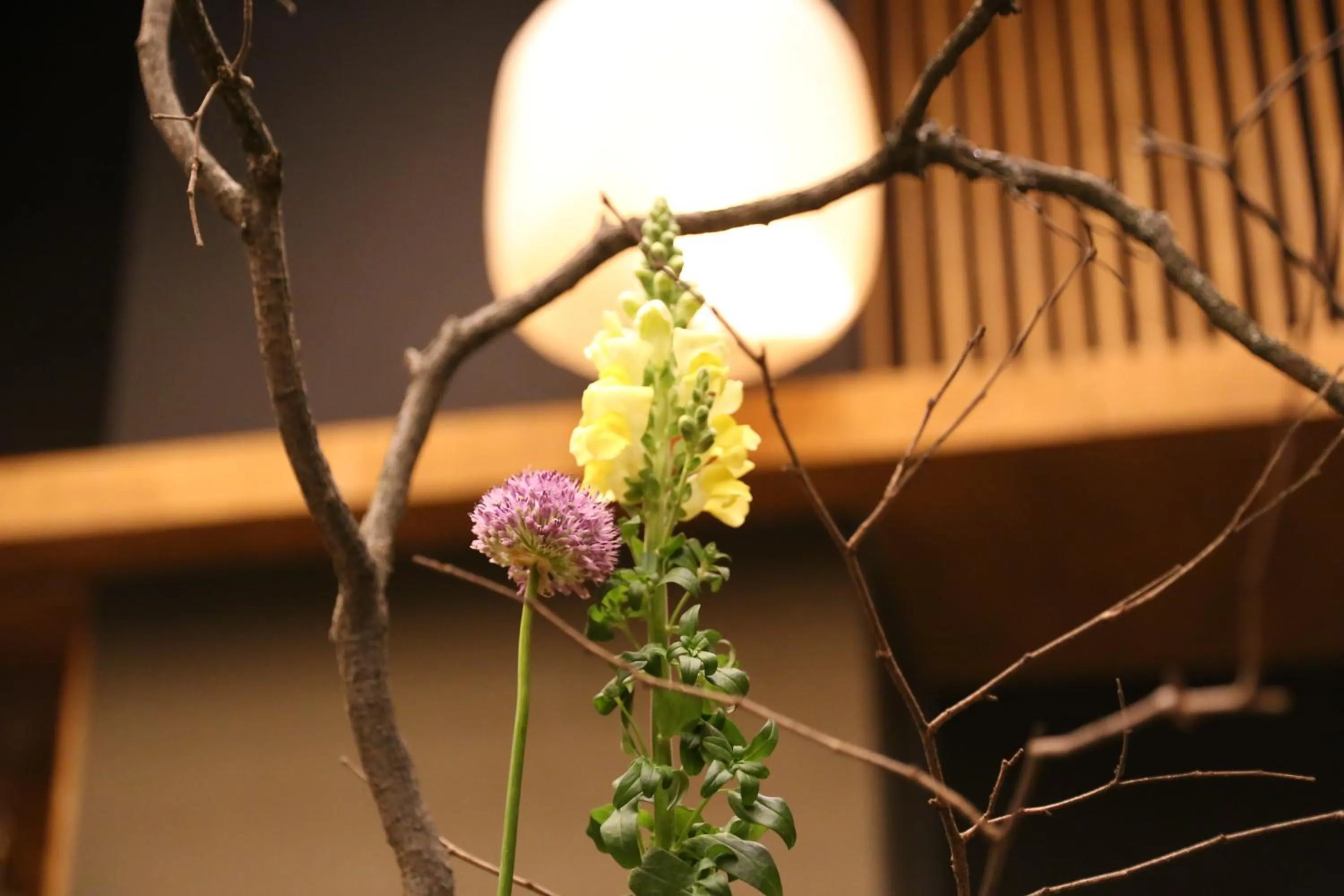 Restaurant/places to eat in Hotel de Saxe Leipzig