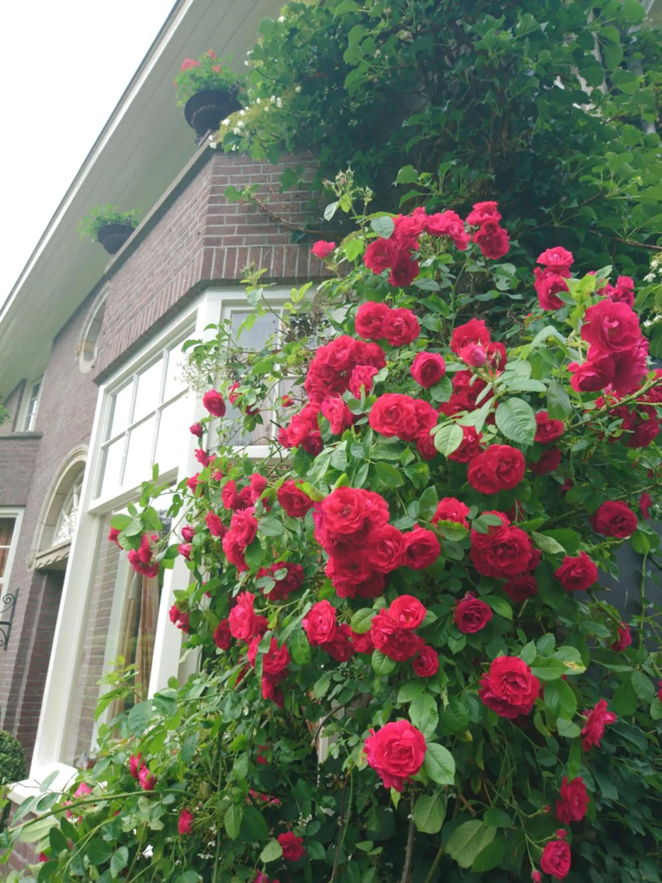 Deventer Heritage en Boutique B&B, museumhuis "De Worp", het huis met de theekoepel, logeren in authentiek historisch erfgoed