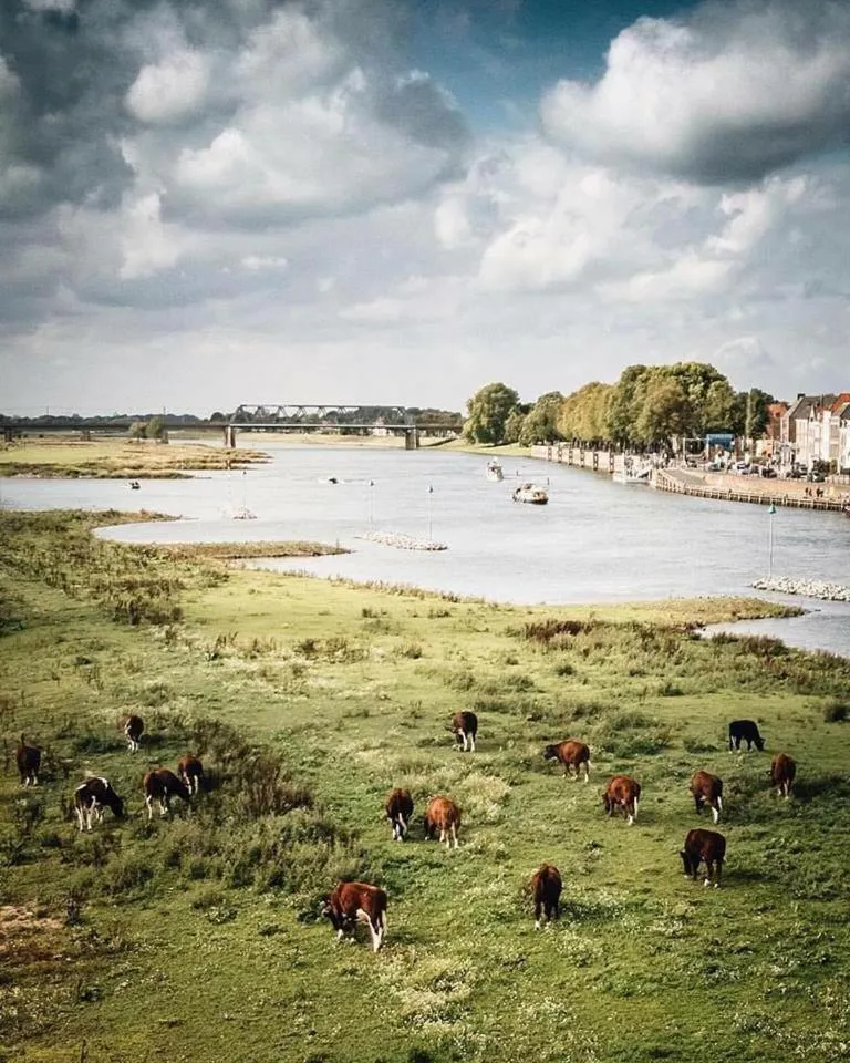 Deventer Heritage en Boutique B&B, museumhuis "De Worp", het huis met de theekoepel, logeren in authentiek historisch erfgoed