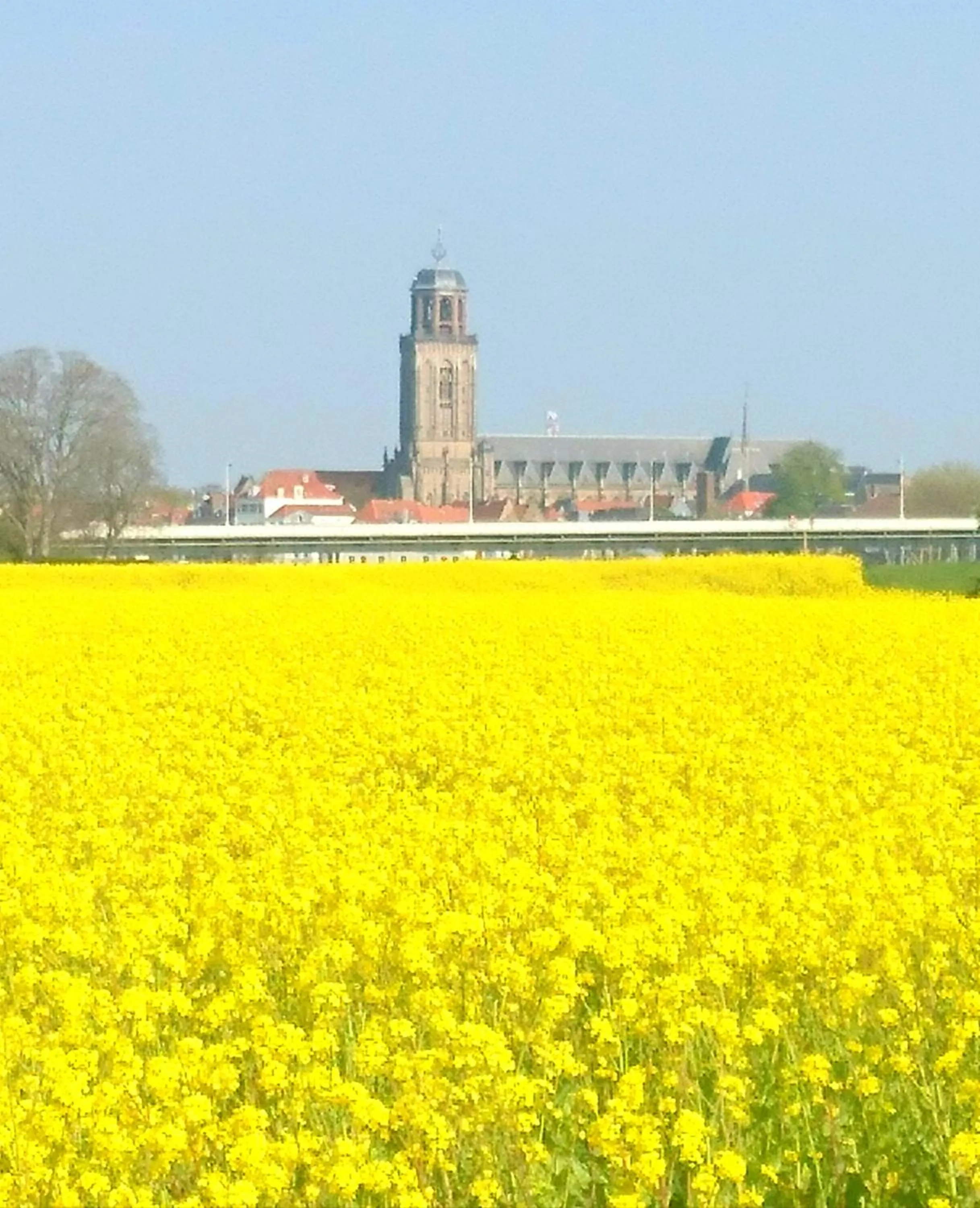 Deventer Heritage en Boutique B&B, museumhuis "De Worp", het huis met de theekoepel, logeren in authentiek historisch erfgoed