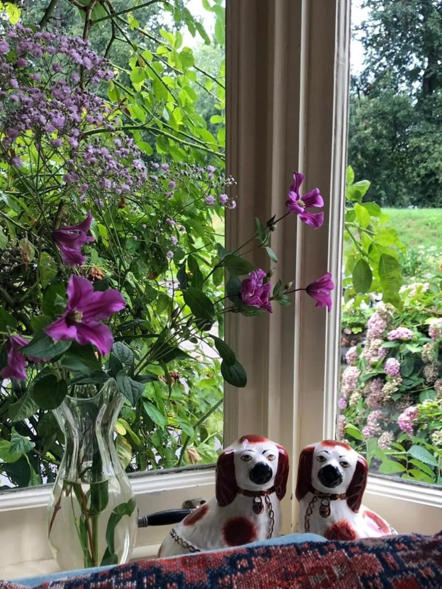 Deventer Heritage en Boutique B&B, museumhuis "De Worp", het huis met de theekoepel, logeren in authentiek historisch erfgoed