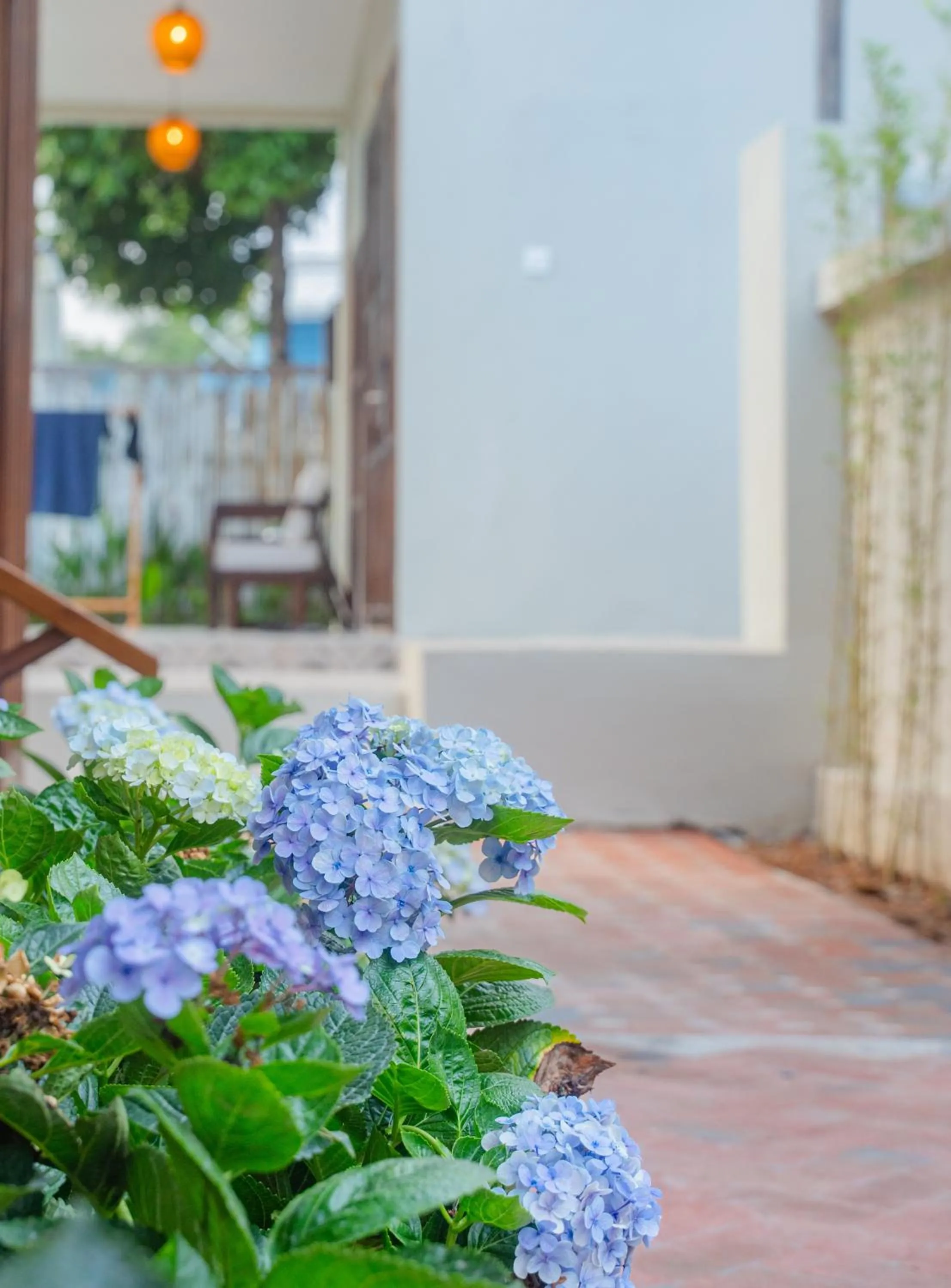 Villa Oasis Luang Prabang