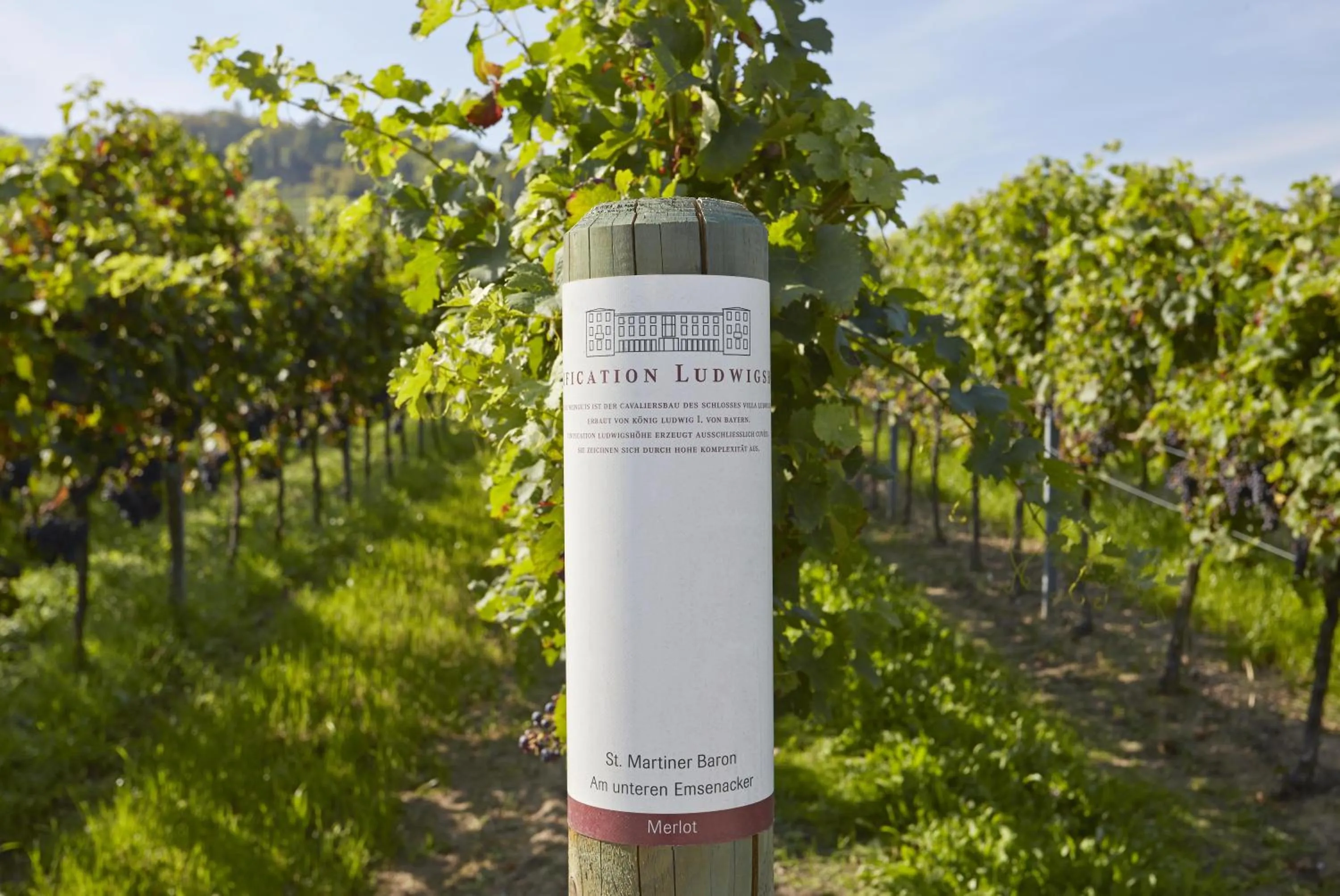 Nearby landmark in Consulat des Weins