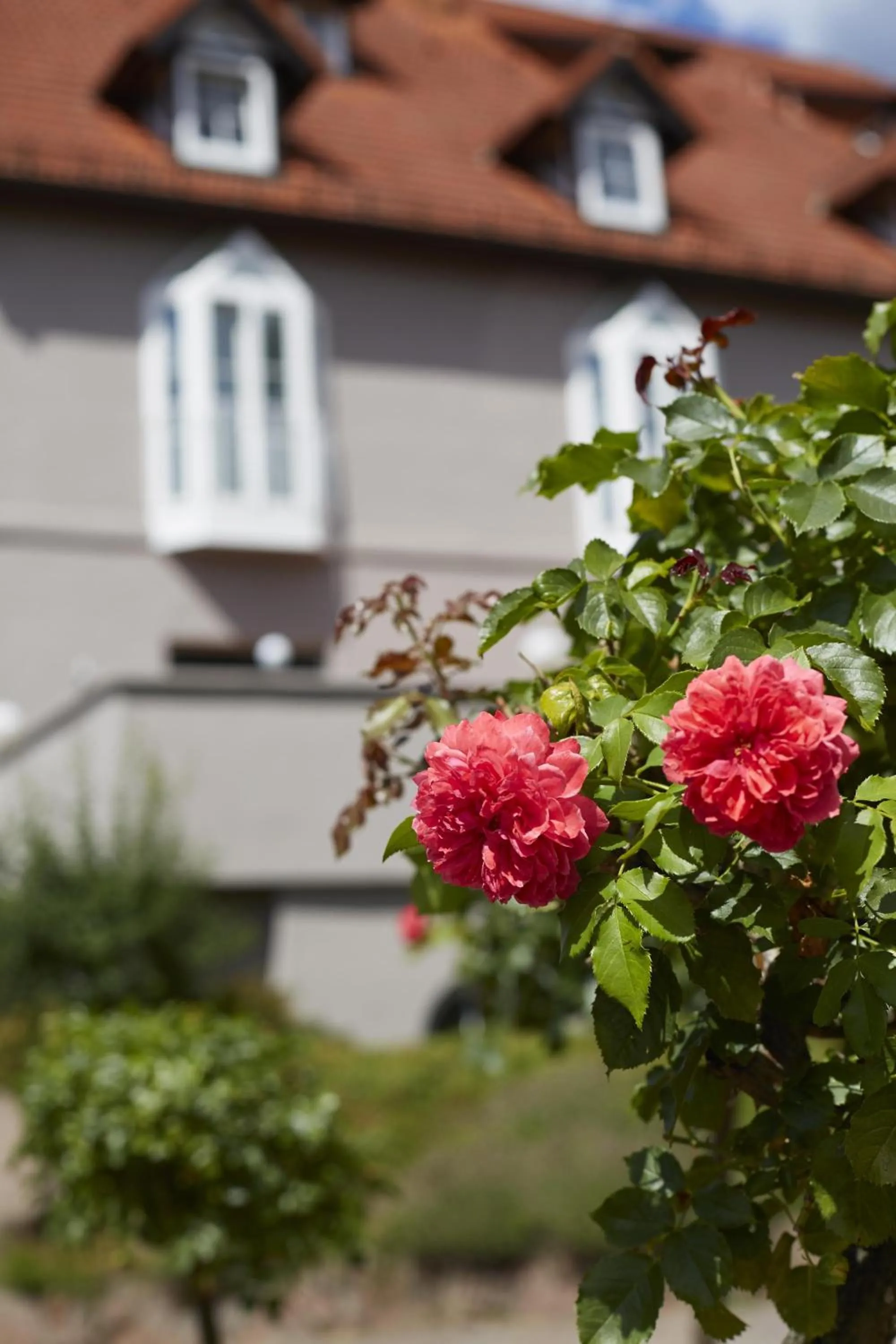 Natural landscape in Consulat des Weins