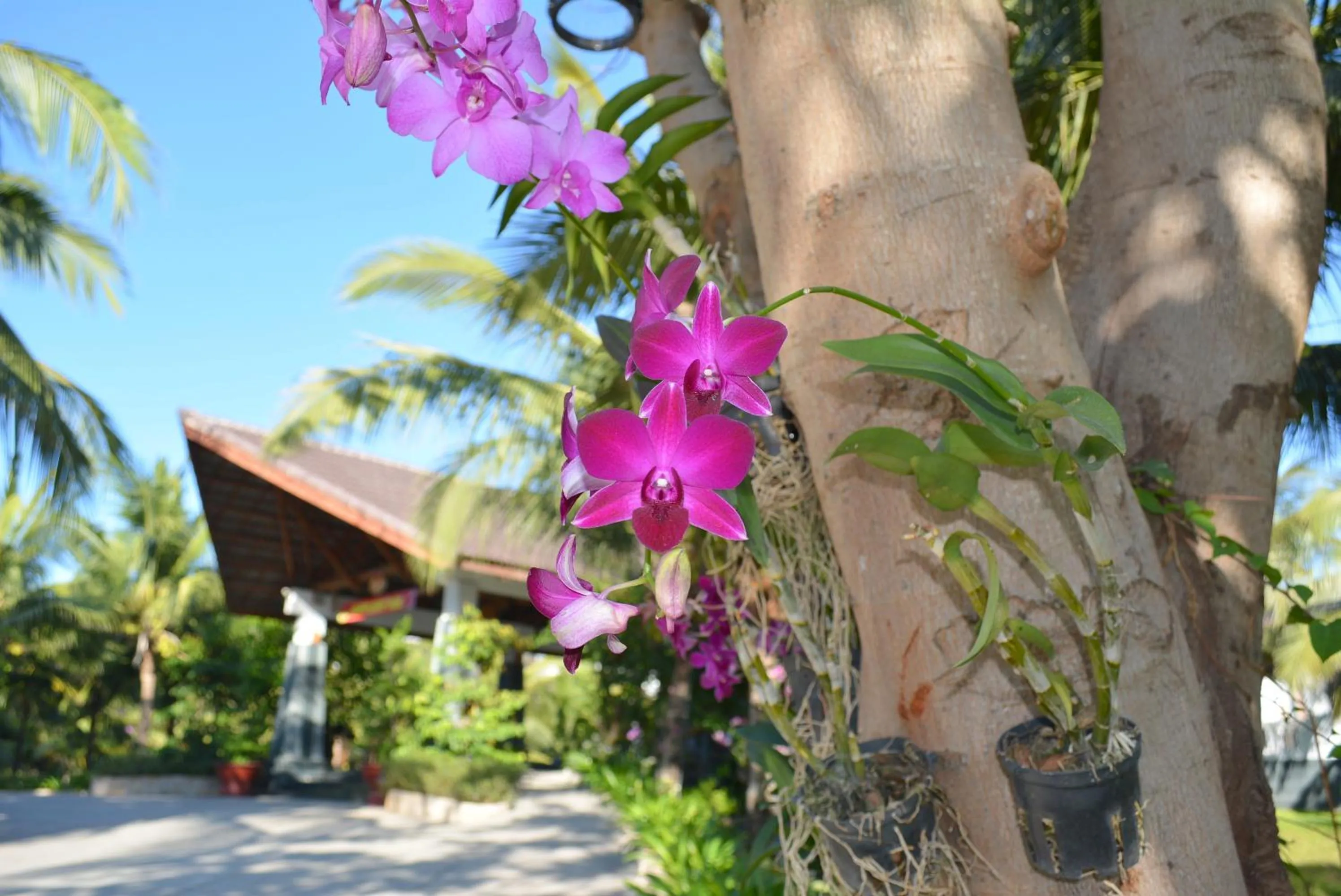 Facade/entrance in Sonata Resort & Spa
