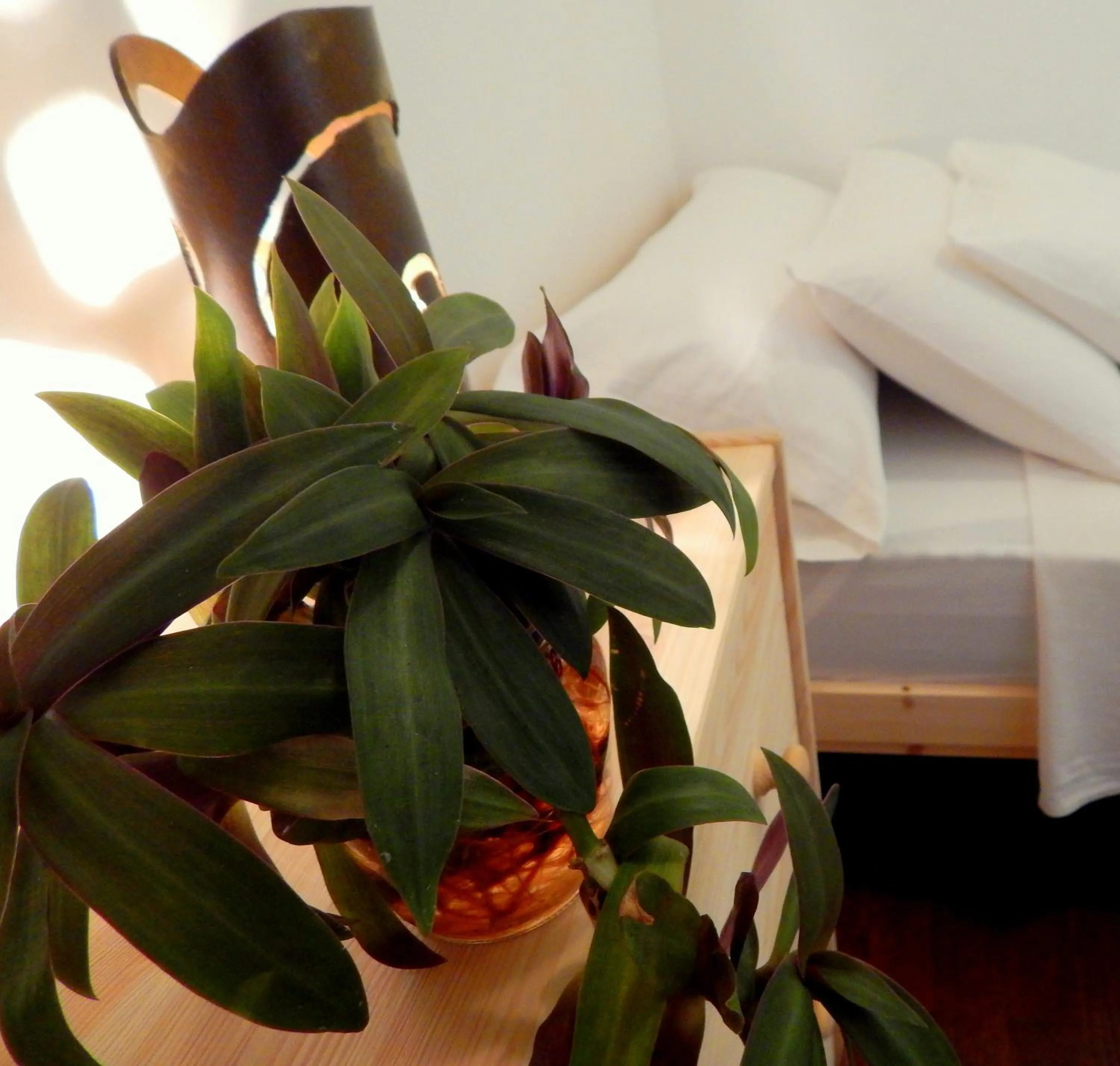 Decorative detail, Bed in Twenty Seven Degrees Las Palmas