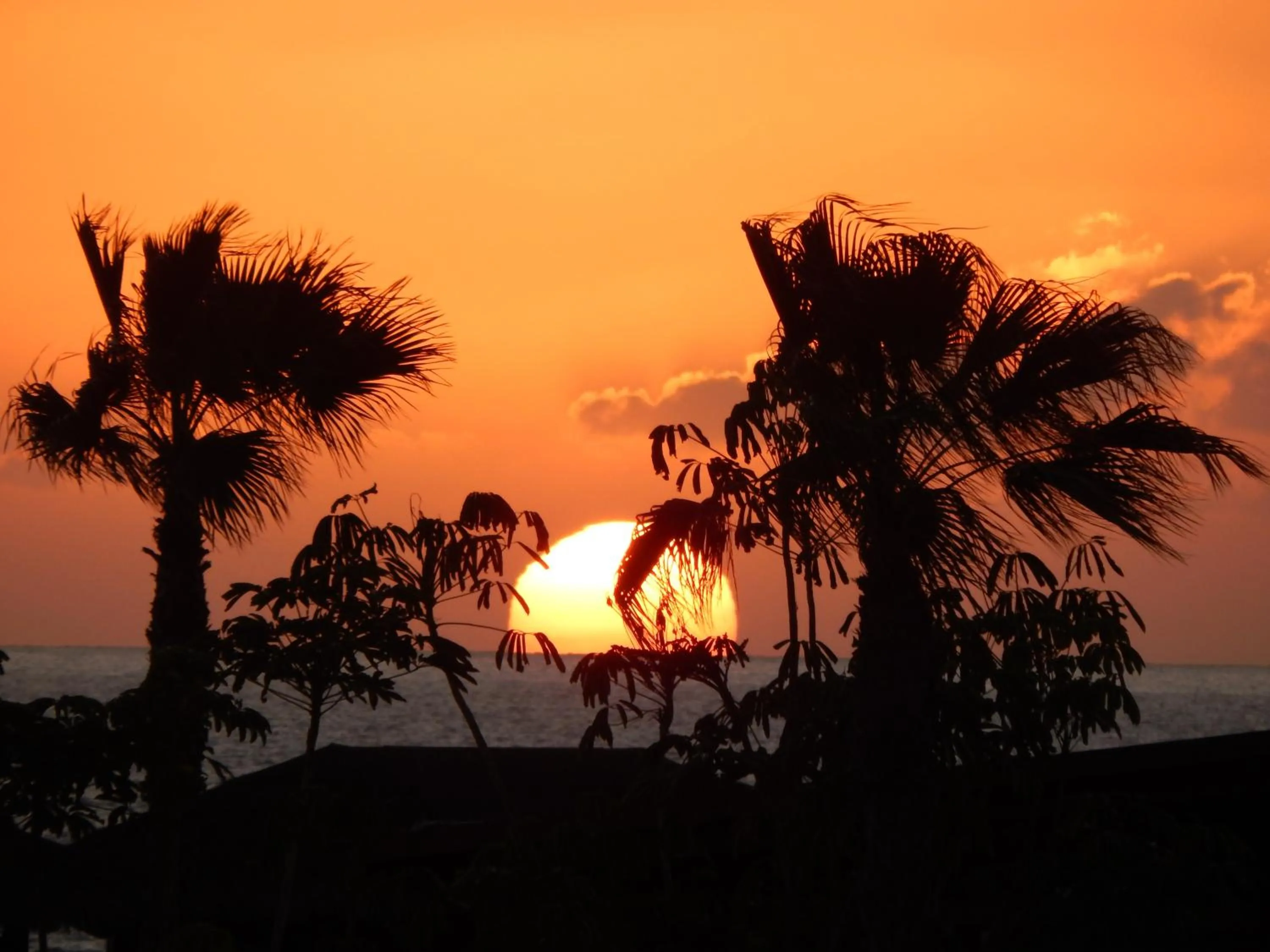 Natural landscape in Twenty Seven Degrees Las Palmas