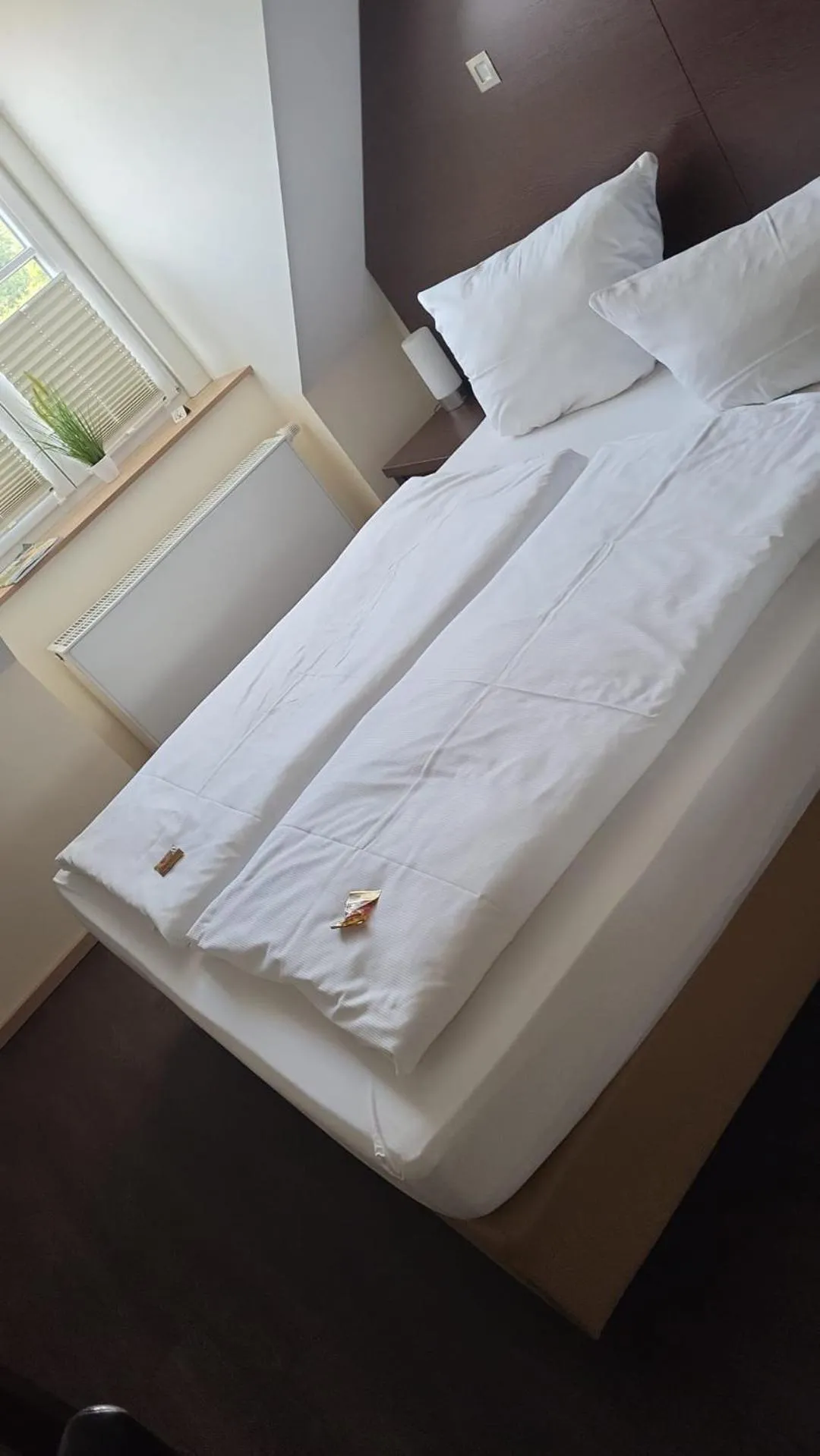 Double Room in Hotel Stadt Steinheim