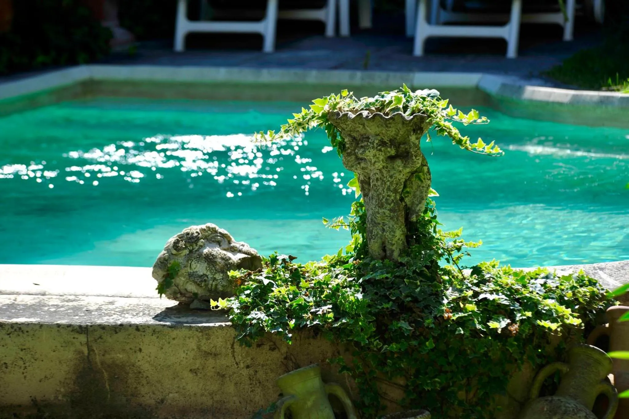 Swimming pool in Les Saisons