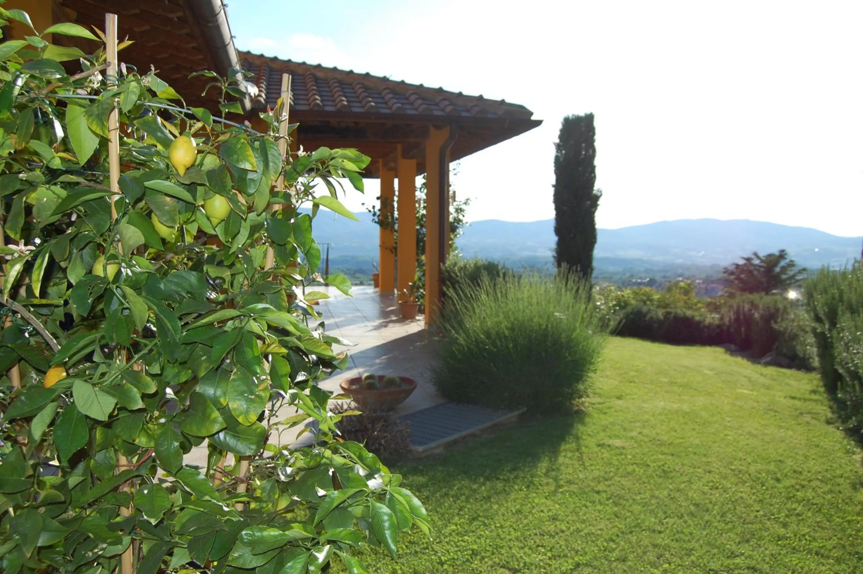Garden view in Villa Lucrezia