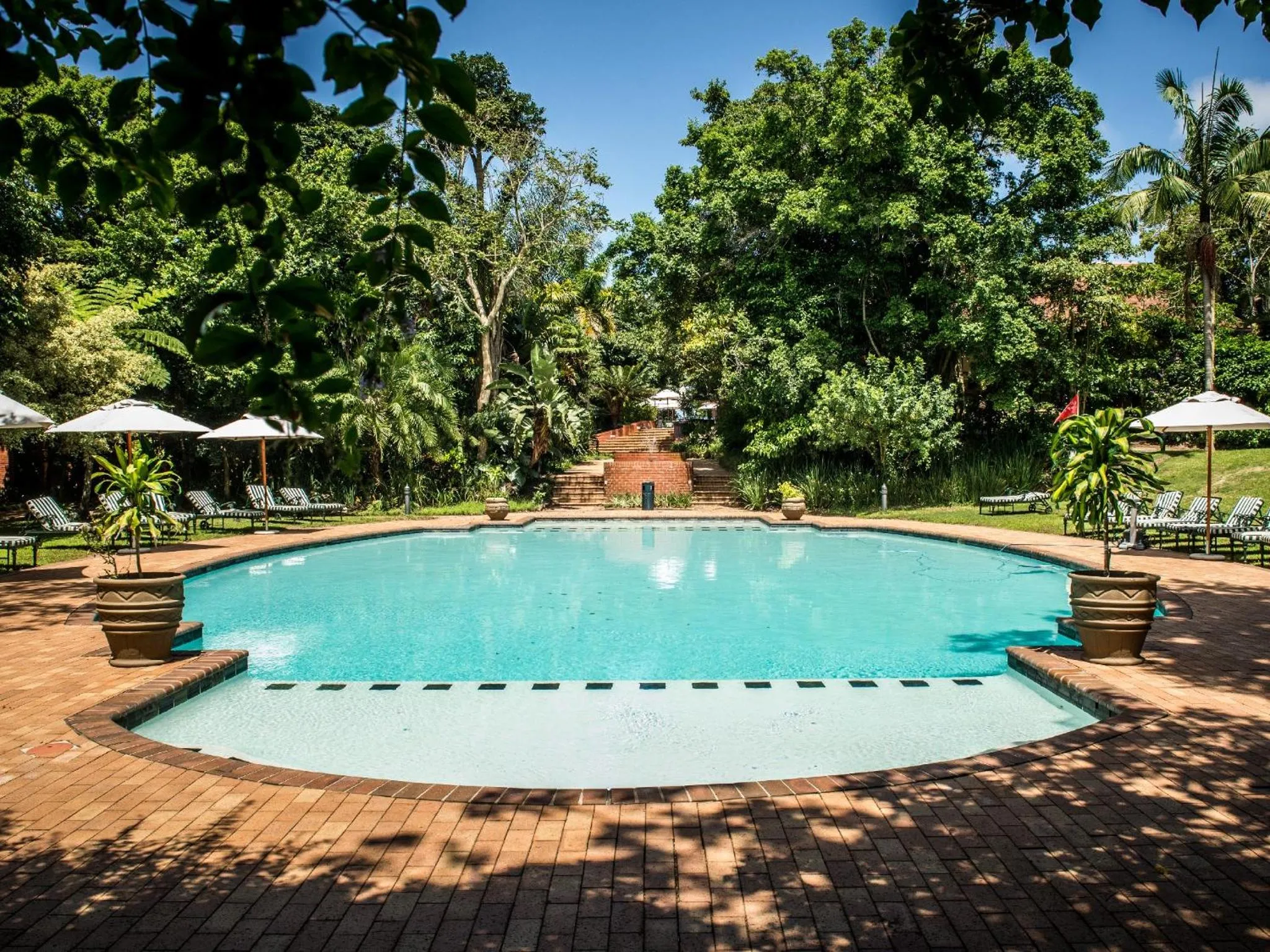 Swimming pool in Selborne Golf Estate, Hotel & Spa