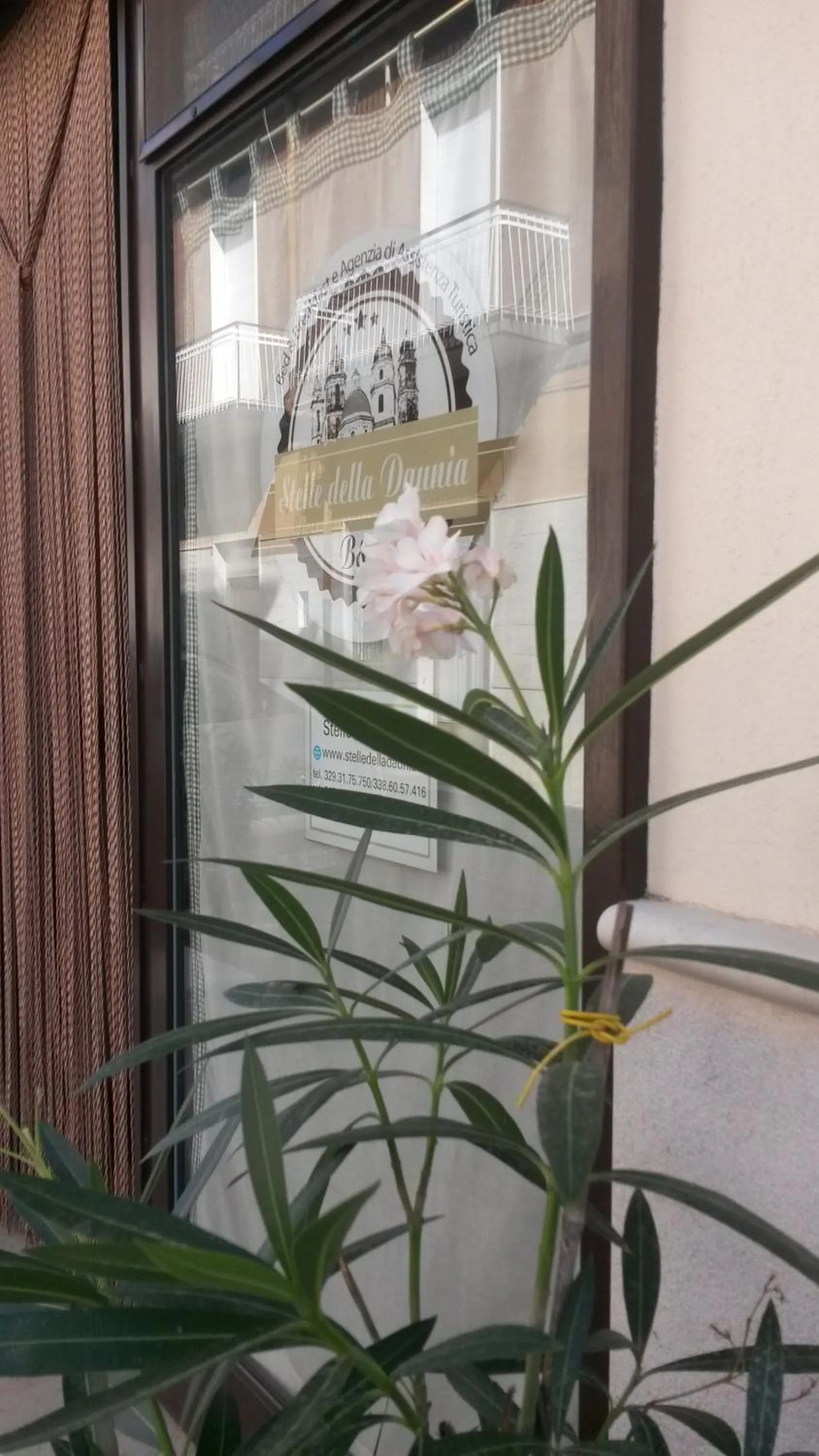 Decorative detail in B&B Stelle Della Daunia