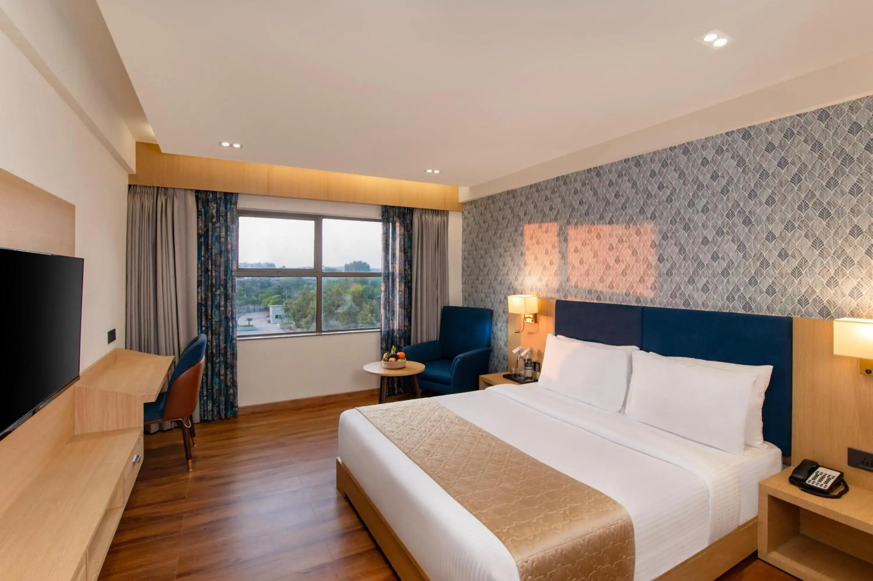 Double Room - single occupancy in Amber-A unit of Sayaji Hotels Double Room - single occupancy in Amber-A unit of Sayaji Hotels