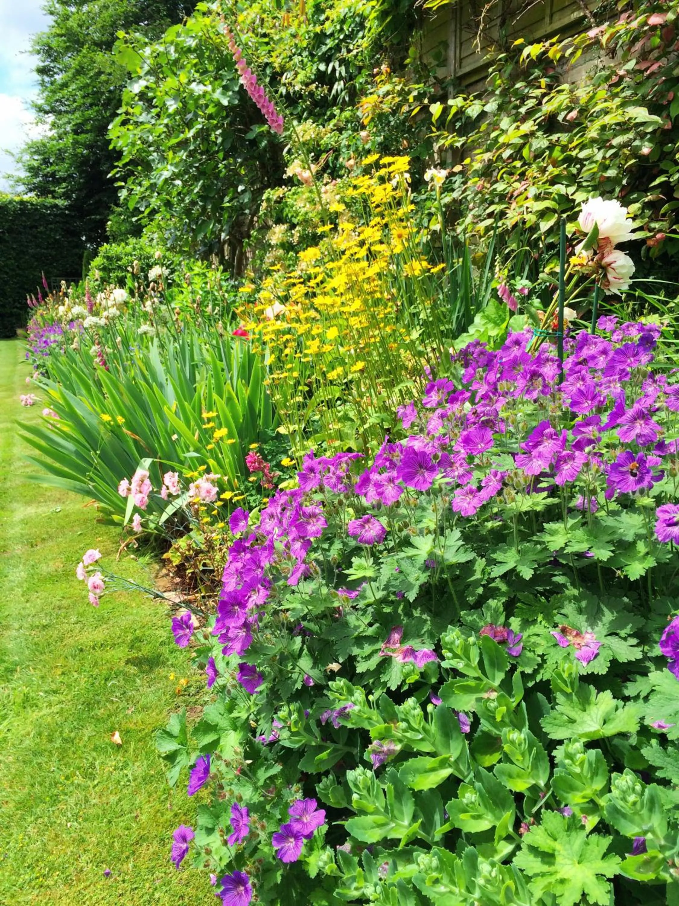 Garden in Croft House Guest Suite Painswick
