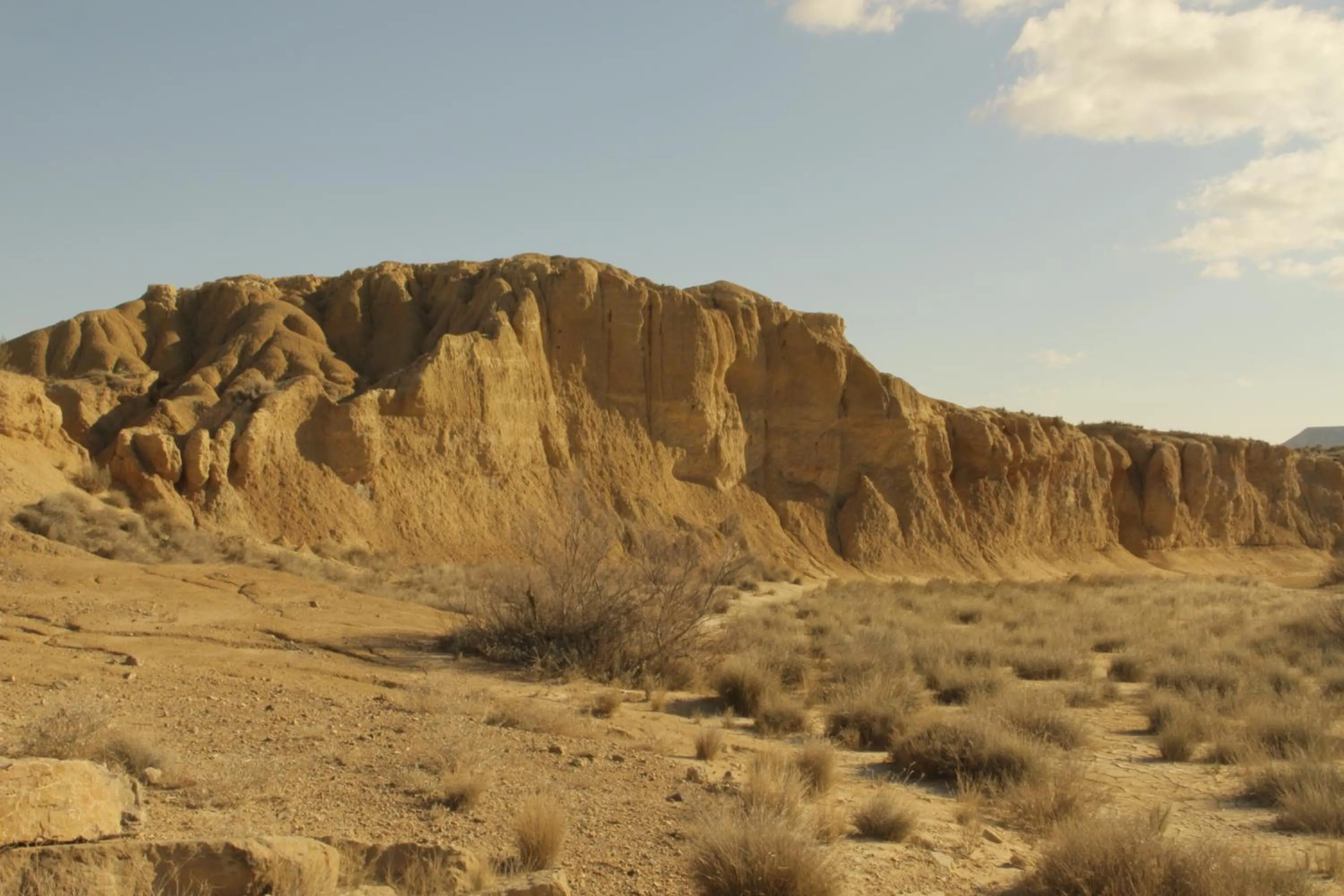 Activities in Casa Rural "La Bardena Blanca I "