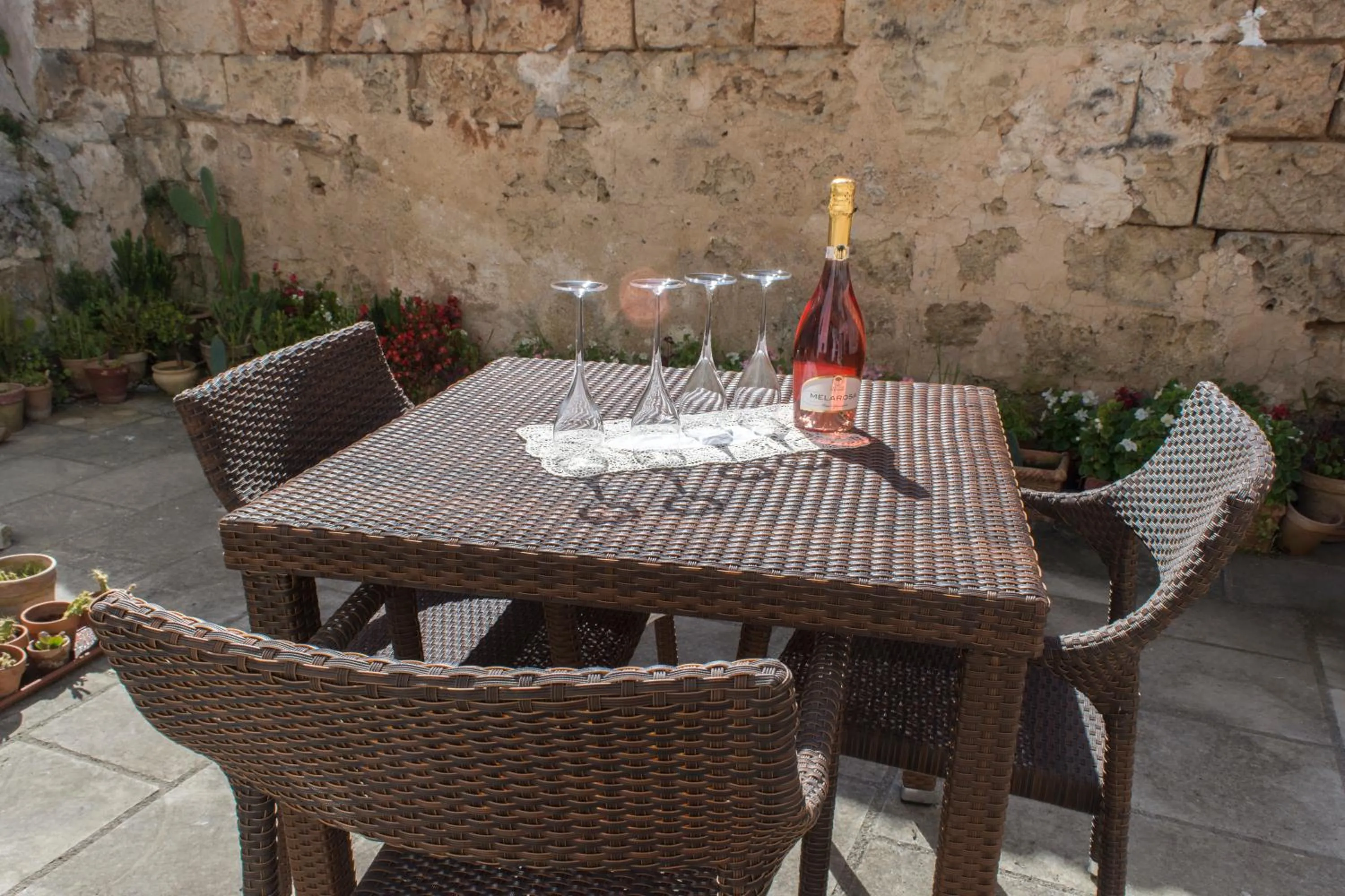 Garden in 100 Craste