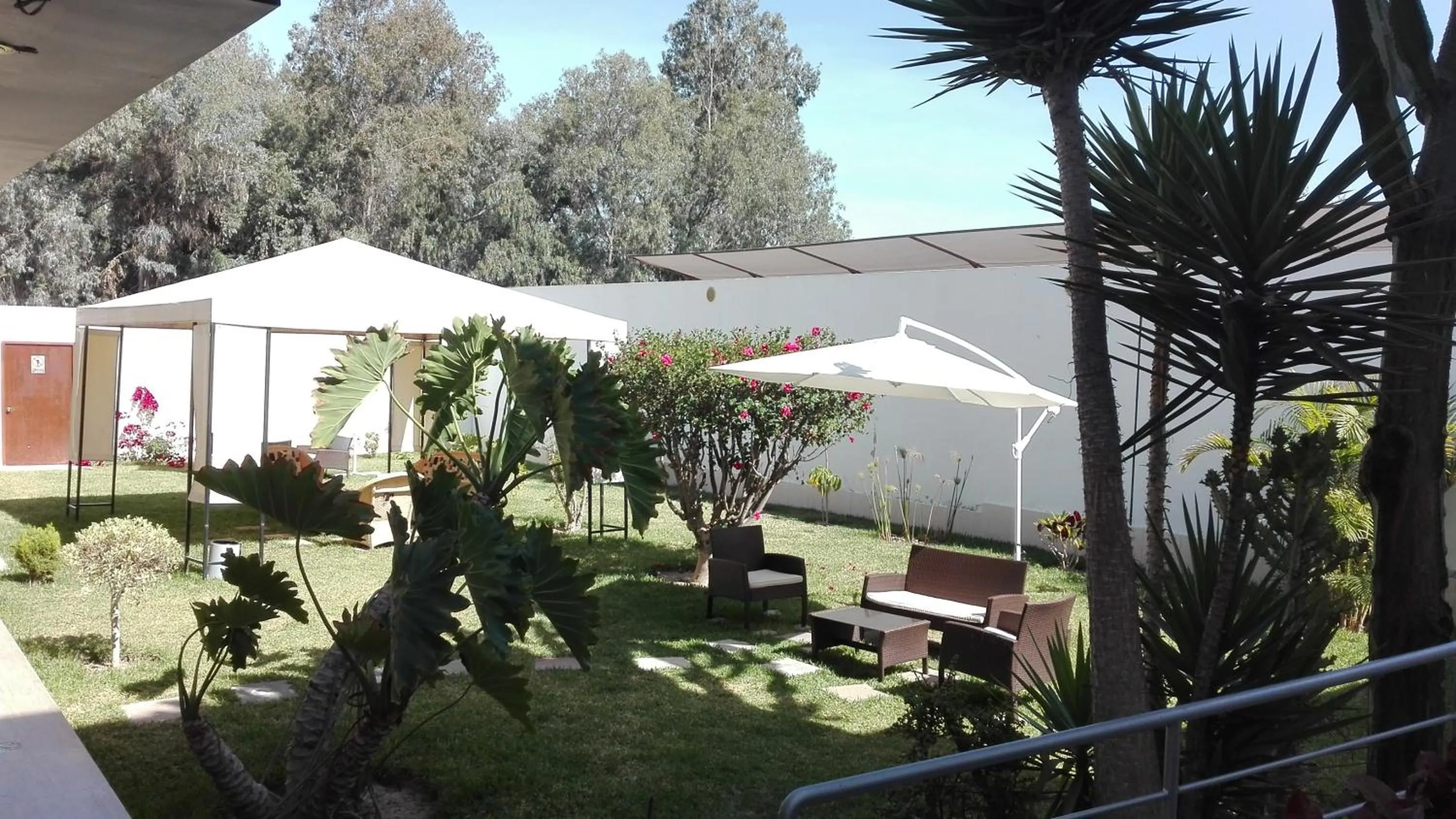 Garden in Hotel La Mansion