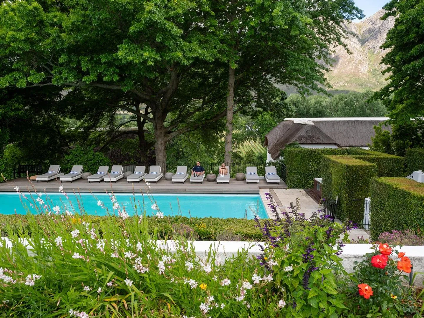 Swimming pool in Le Franschhoek Hotel & Spa by Dream Resorts