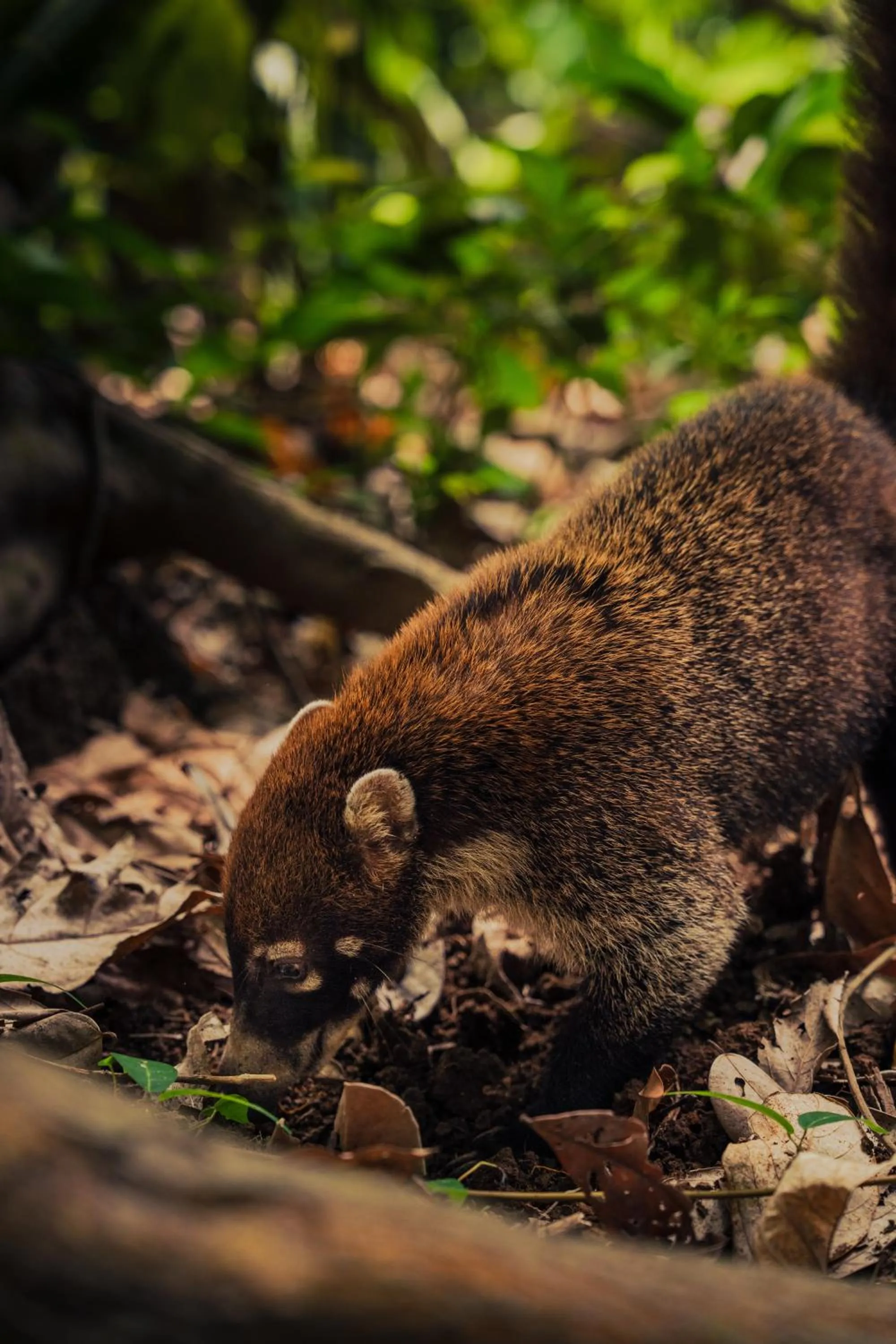 Hiking in Hacienda Baru