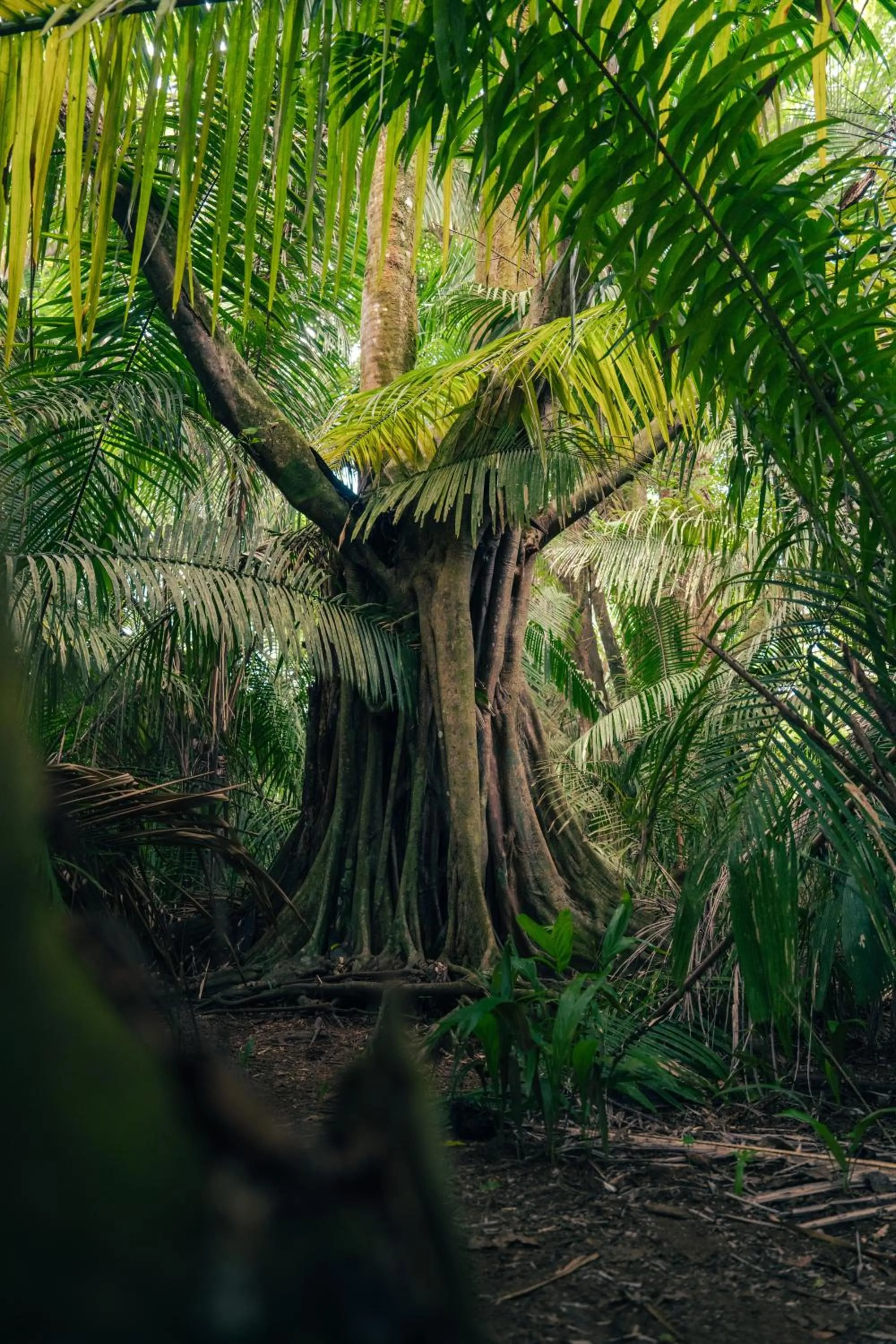 Hiking in Hacienda Baru