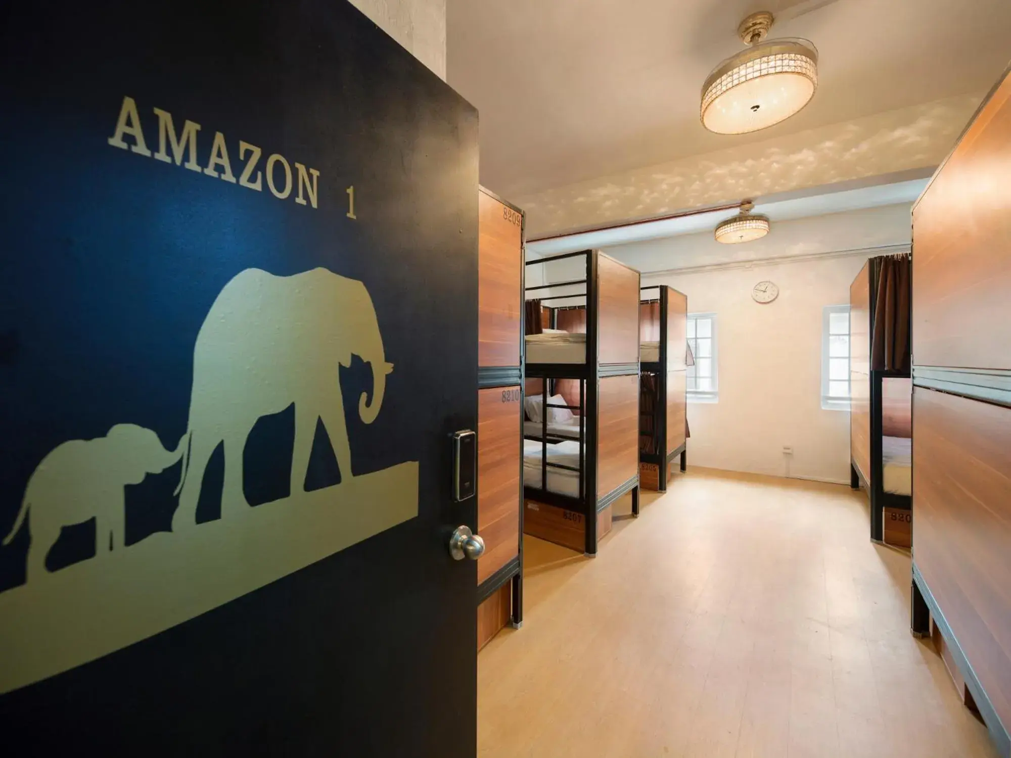 Photo of the whole room, Bed in 7 Wonders Hostel at Upper Dickson Photo of the whole room, Bed in 7 Wonders Hostel at Upper Dickson