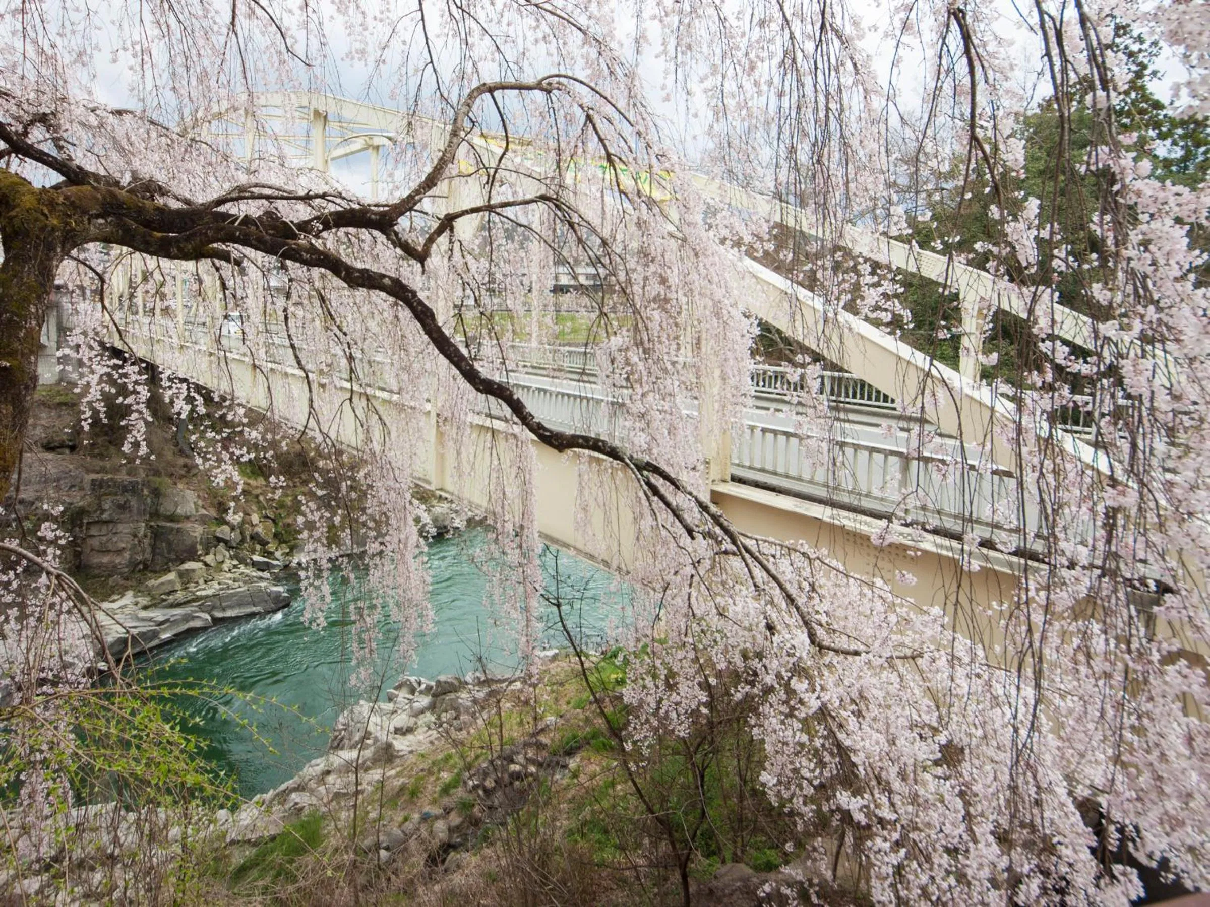 Nearby landmark in Yoshinotei