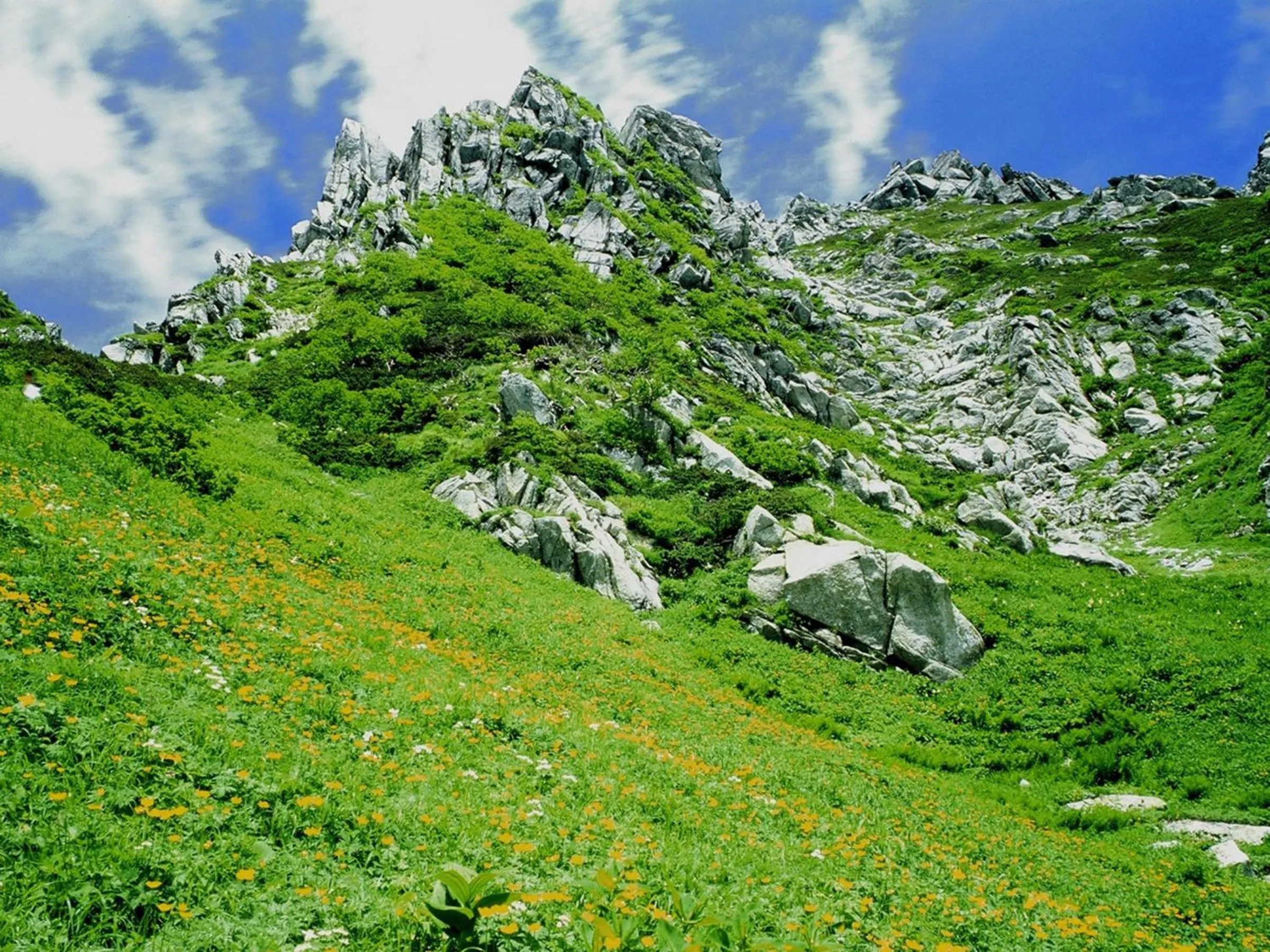 Nearby landmark in Yoshinotei