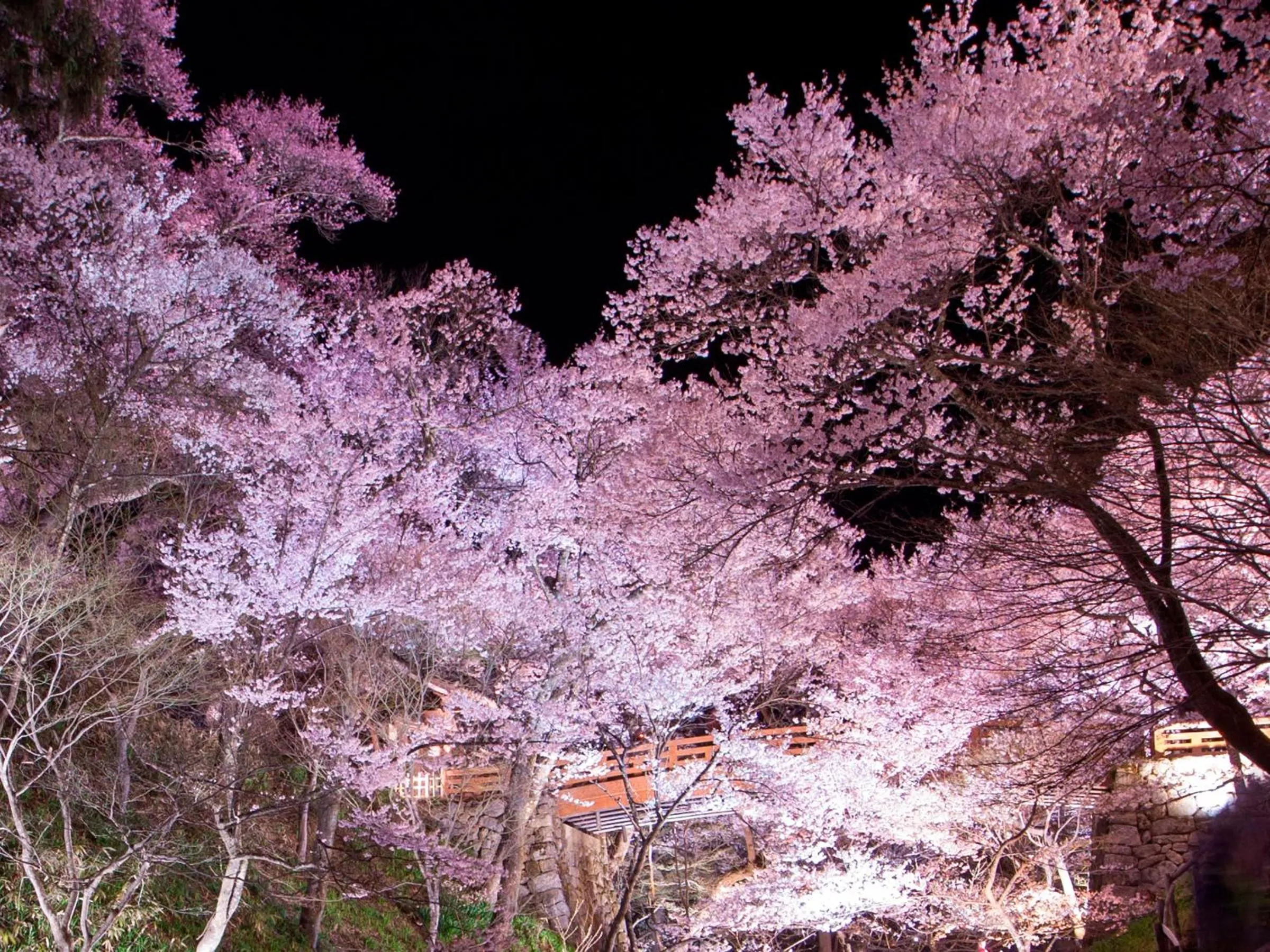 Nearby landmark in Yoshinotei