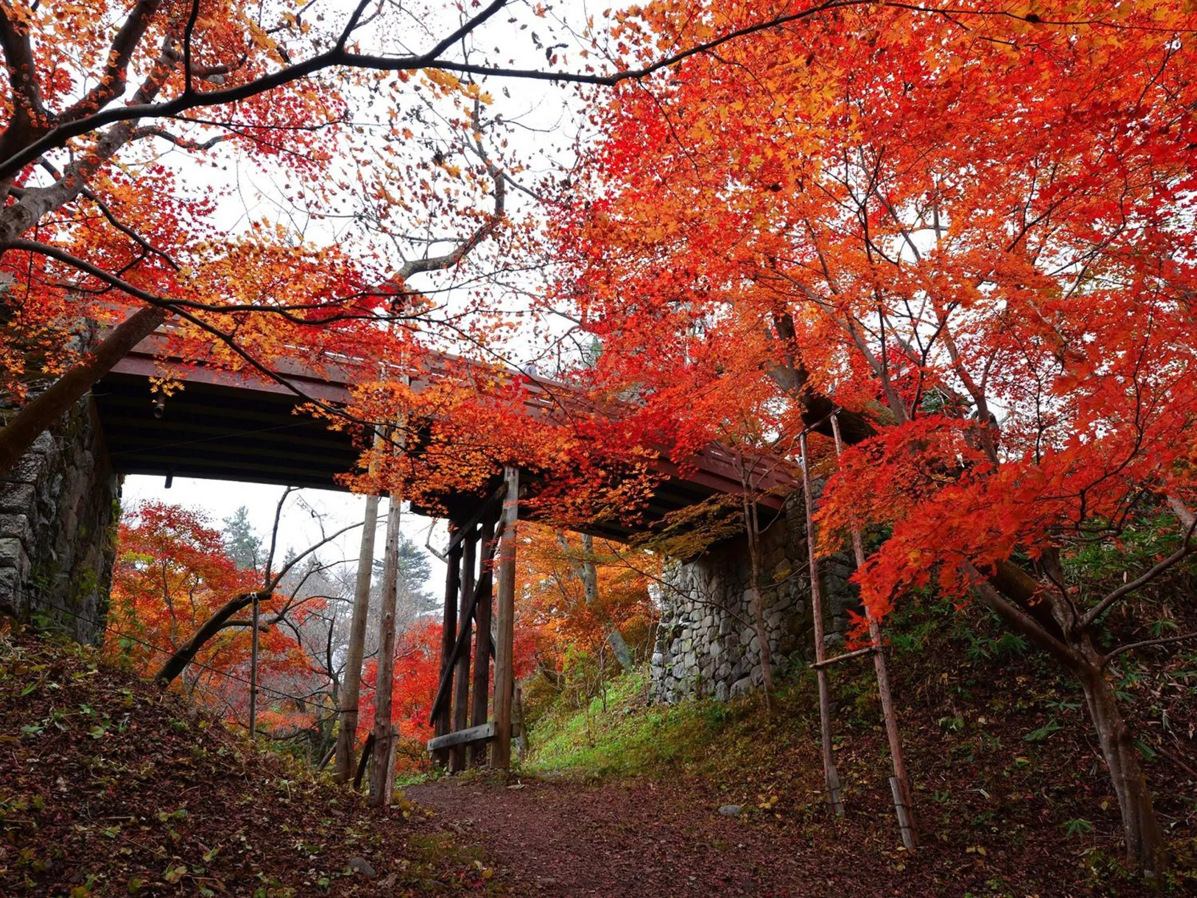 Nearby landmark in Yoshinotei