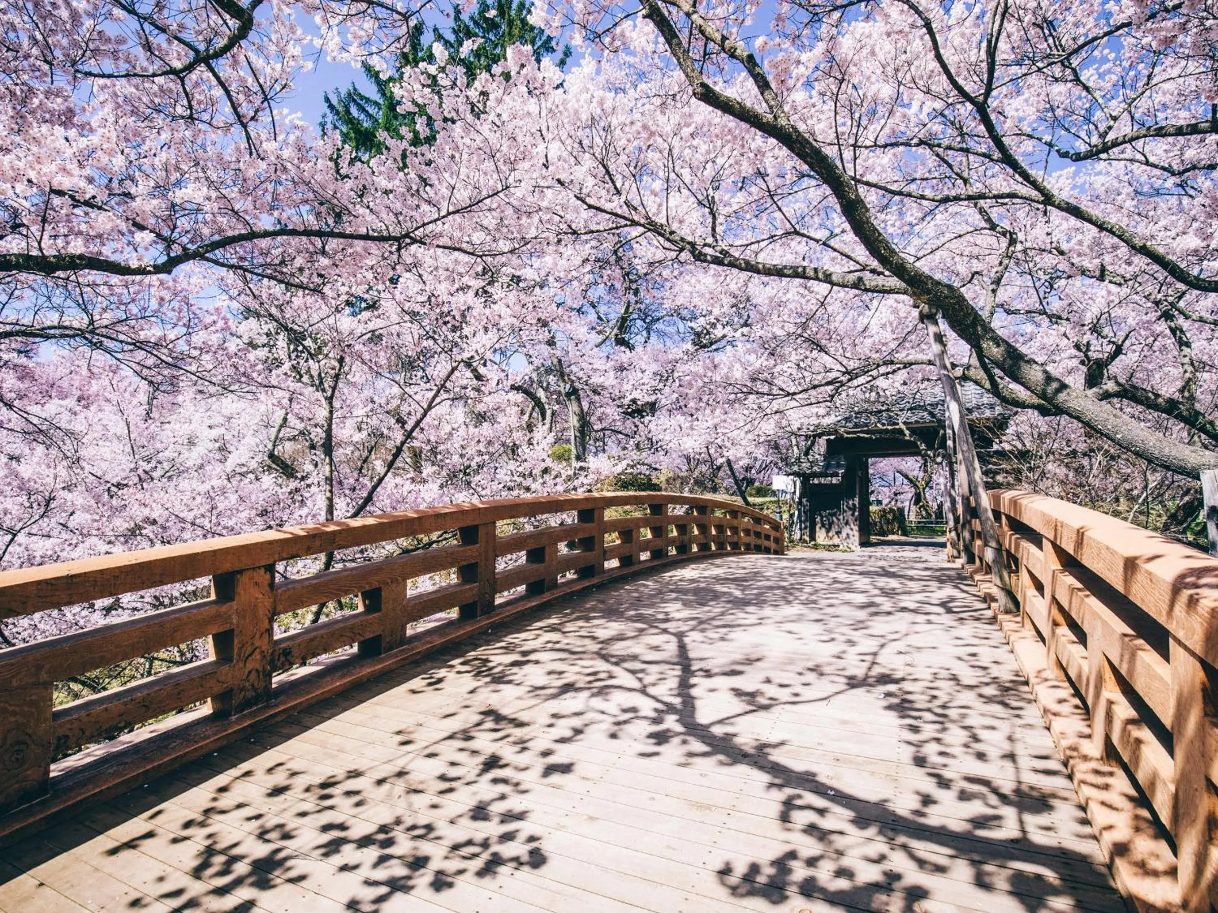 Nearby landmark in Yoshinotei