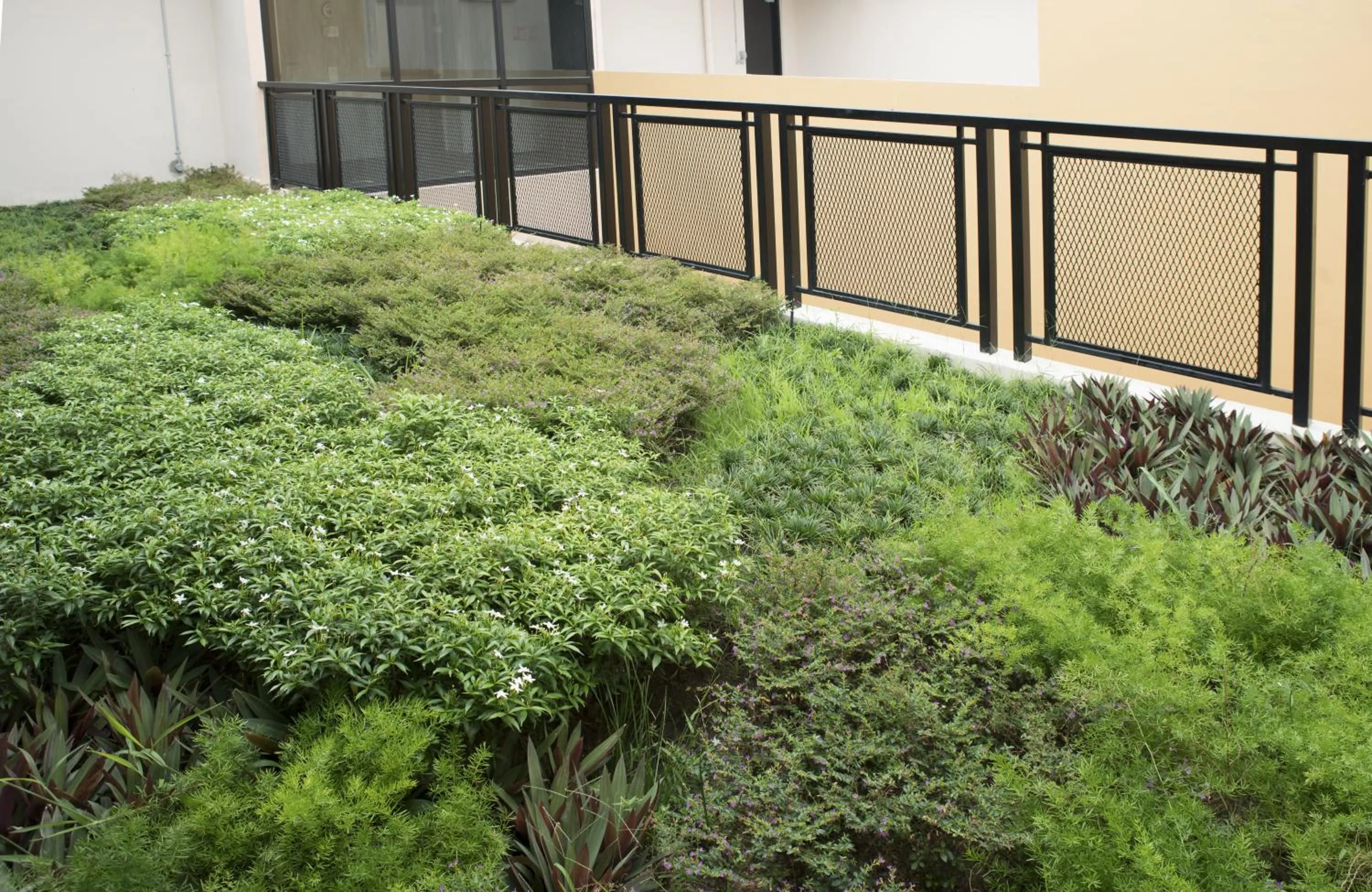 Area and facilities in Hotel Yan