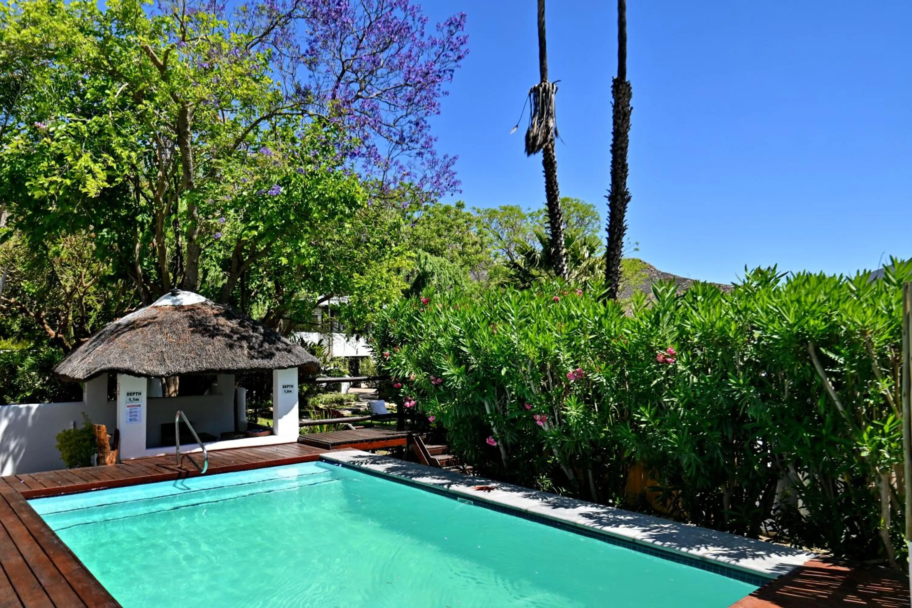 Swimming pool in Mimosa Lodge