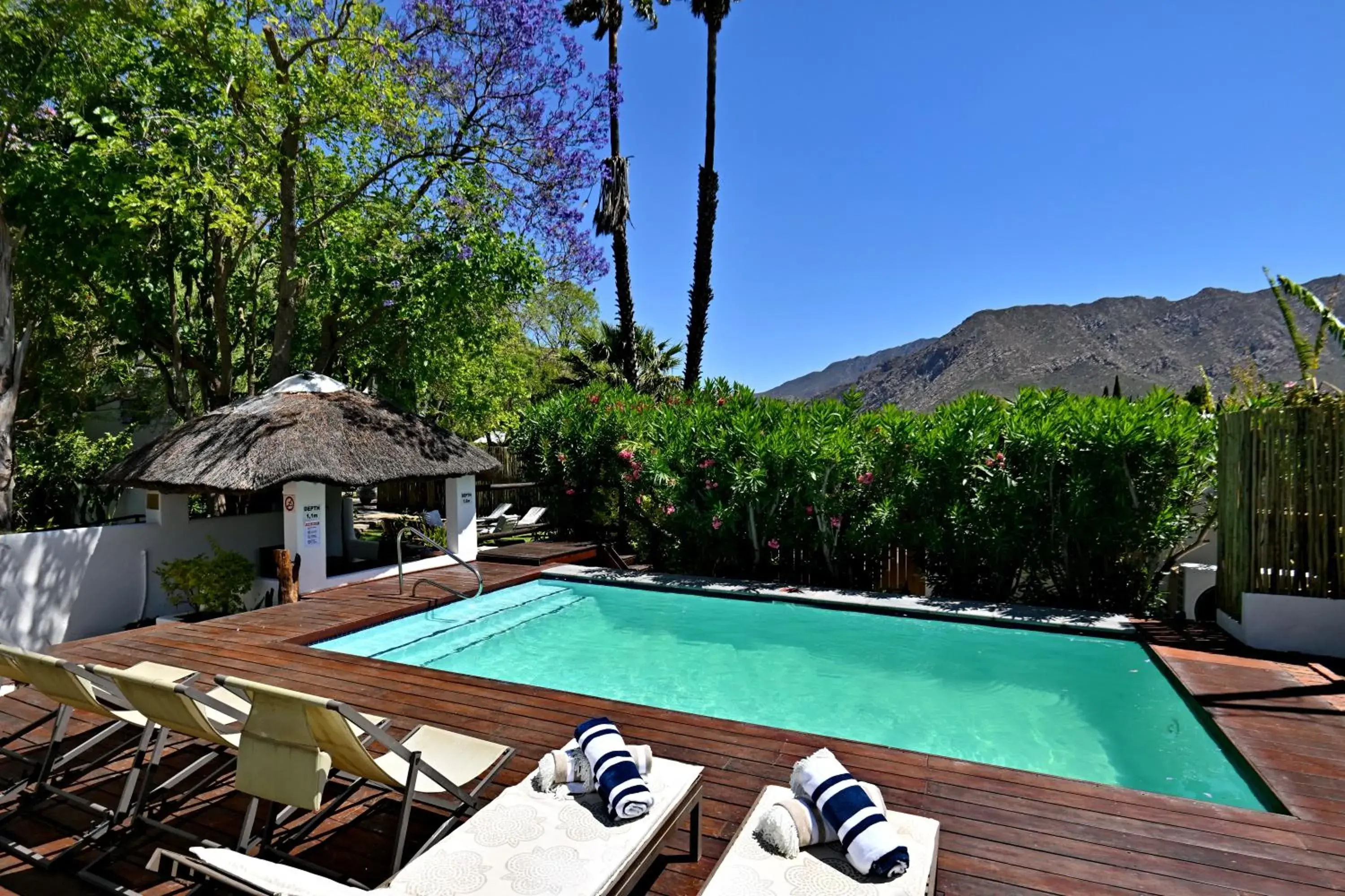 Swimming pool in Mimosa Lodge Swimming pool in Mimosa Lodge