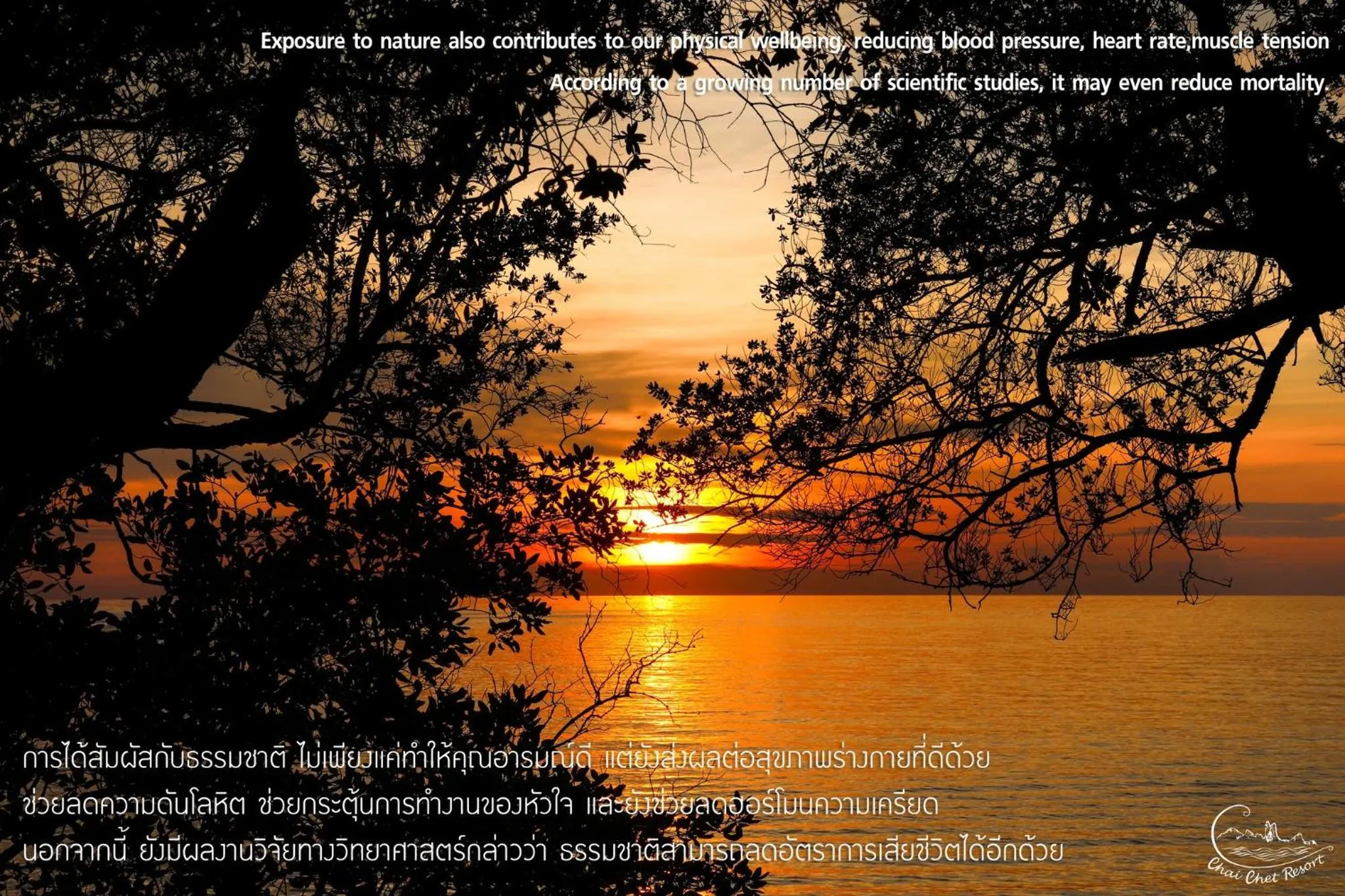 View (from property/room) in Chai Chet Resort Koh Chang