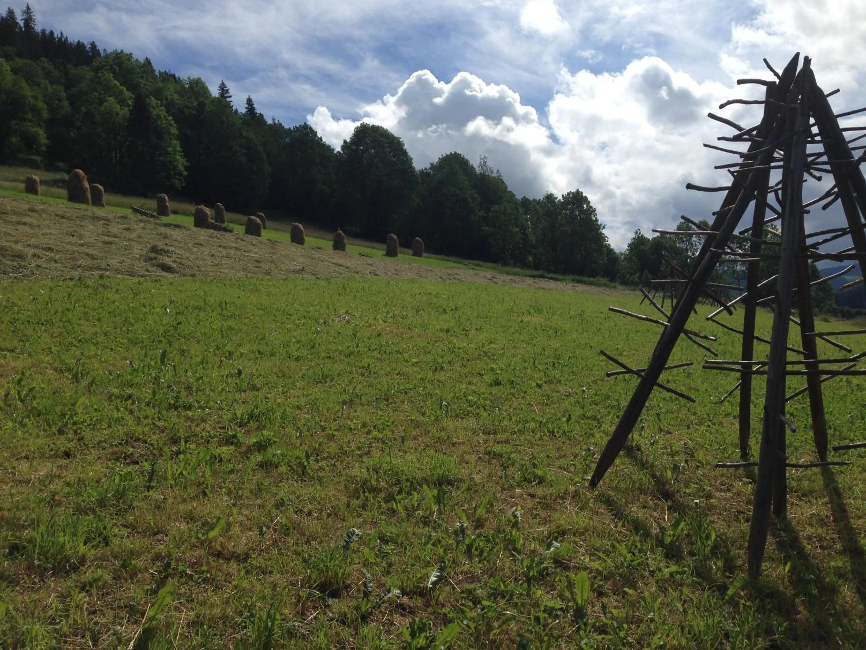 Natural landscape in Pokoje Gościnne Madzia