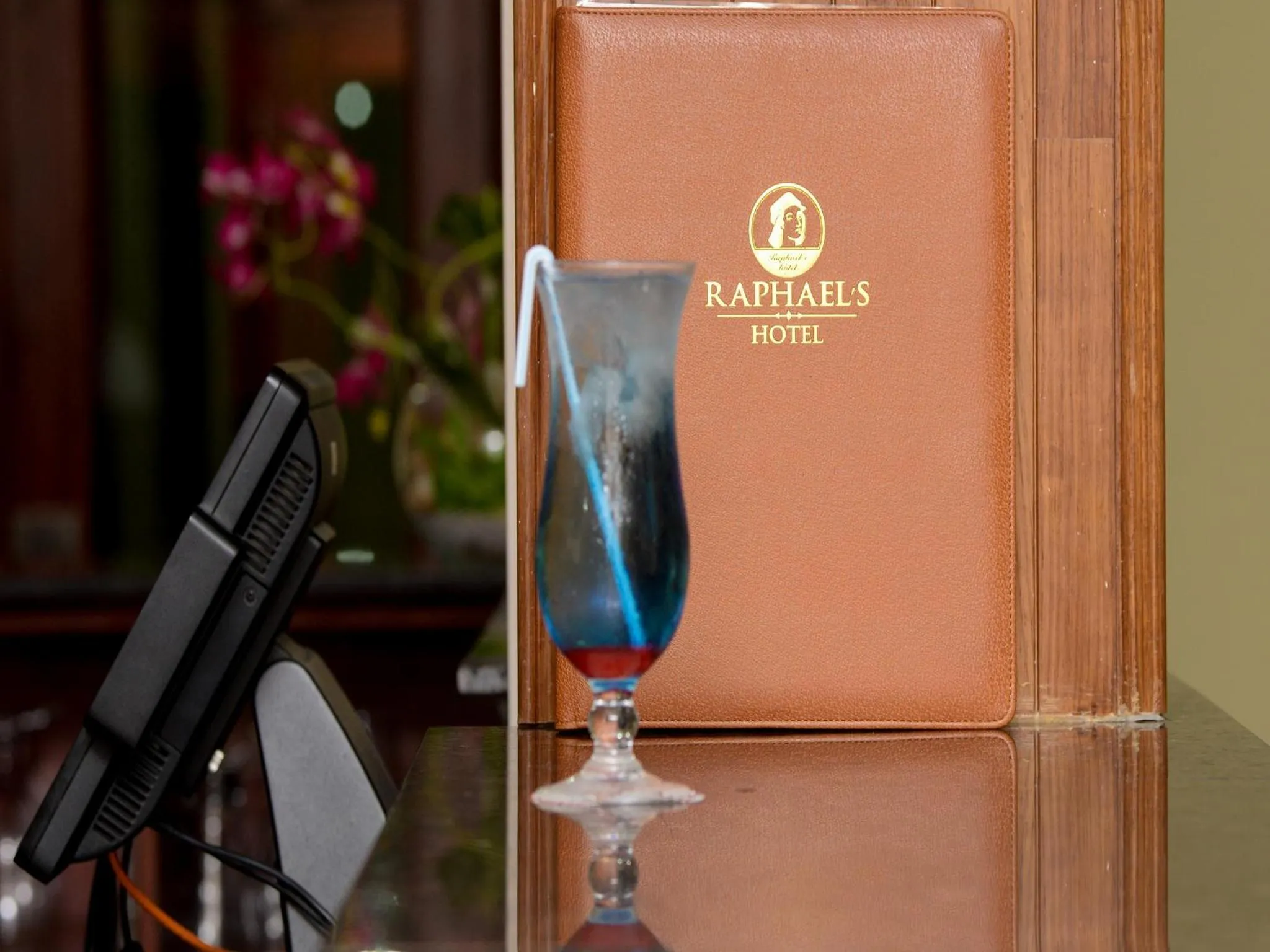 Lounge or bar in Raphael's Hotel