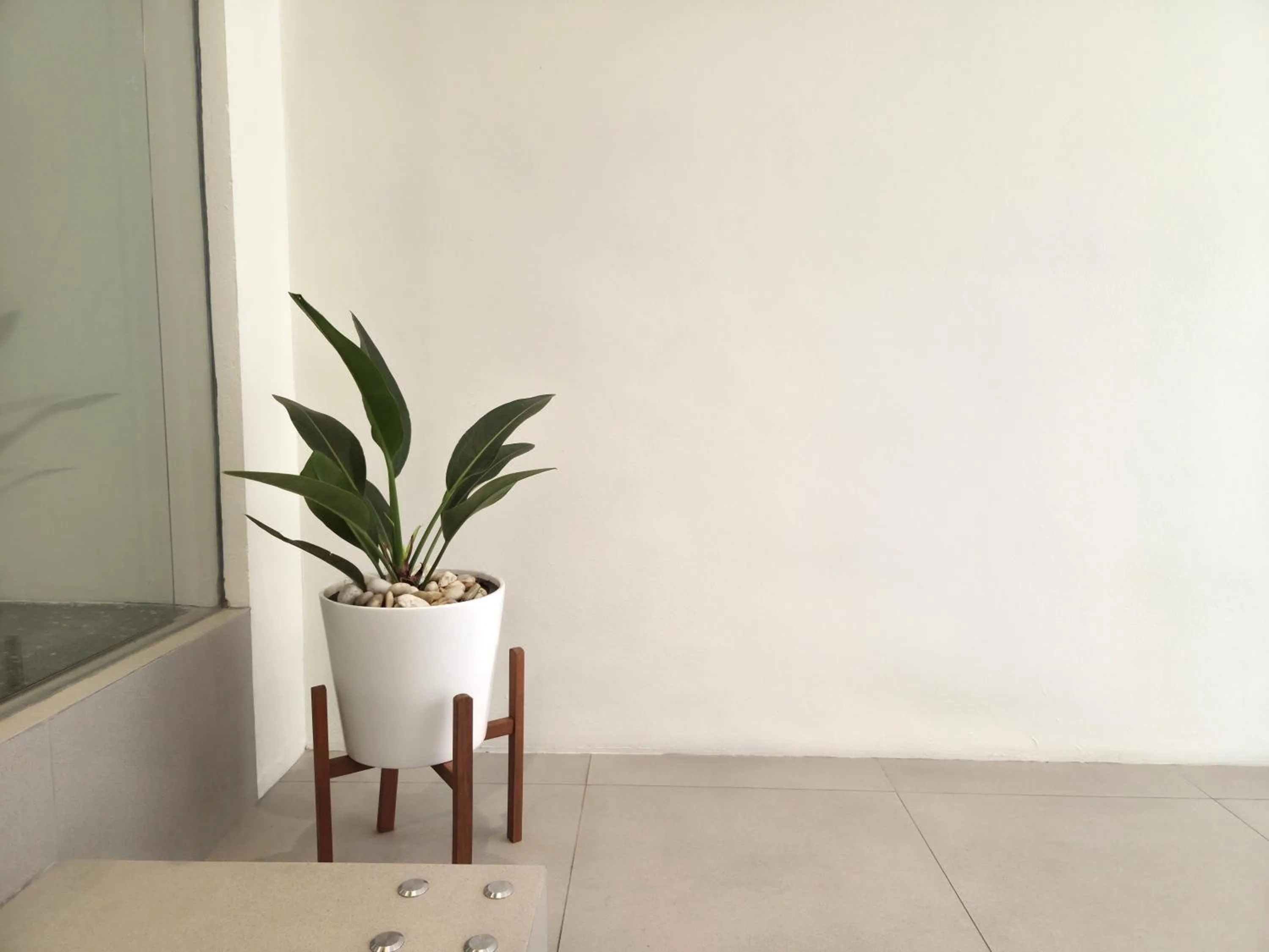 Lobby or reception in Warm Pillow Hotel Bangkok