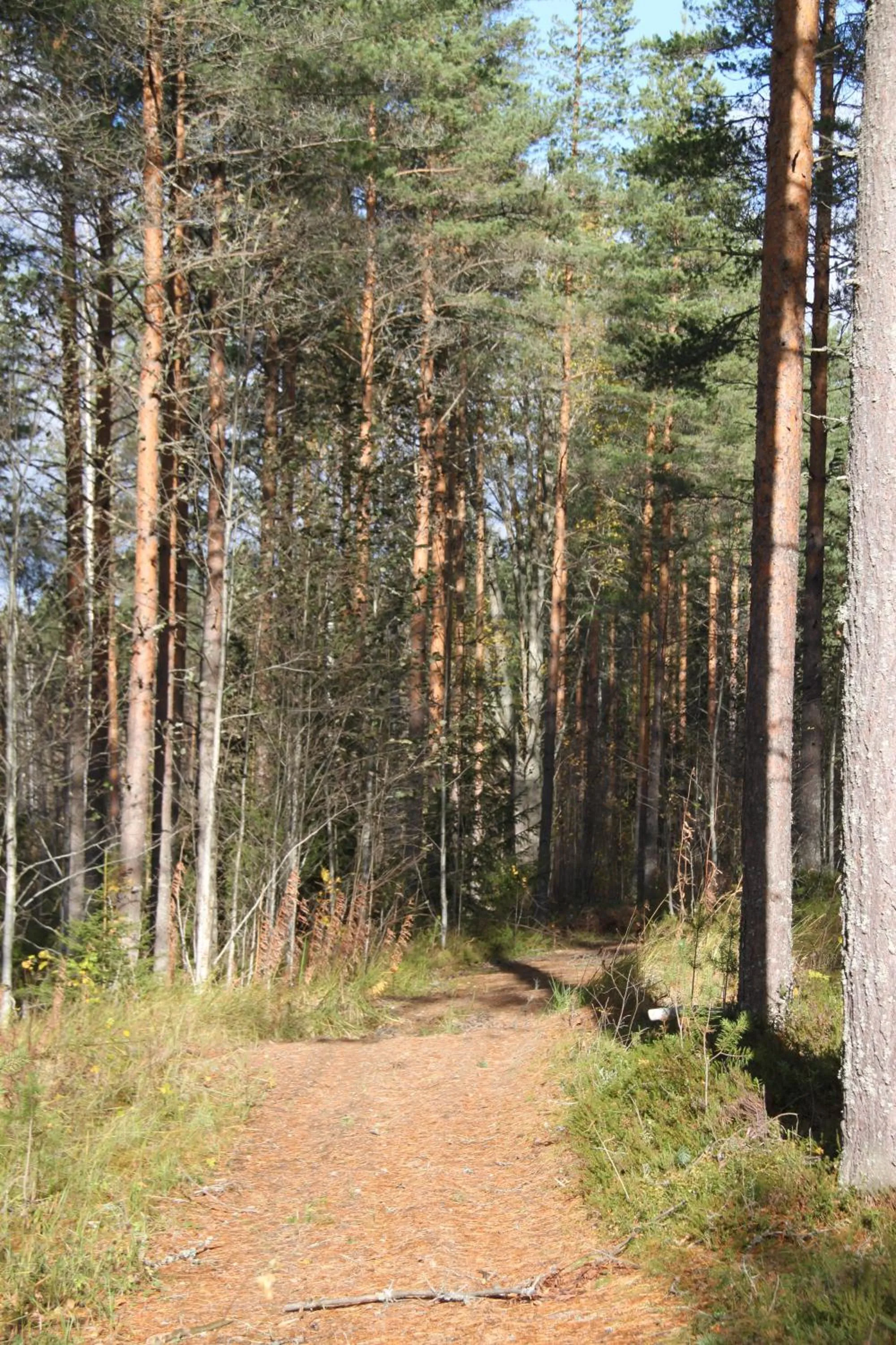 Neighbourhood in Karkausmäen Kammari