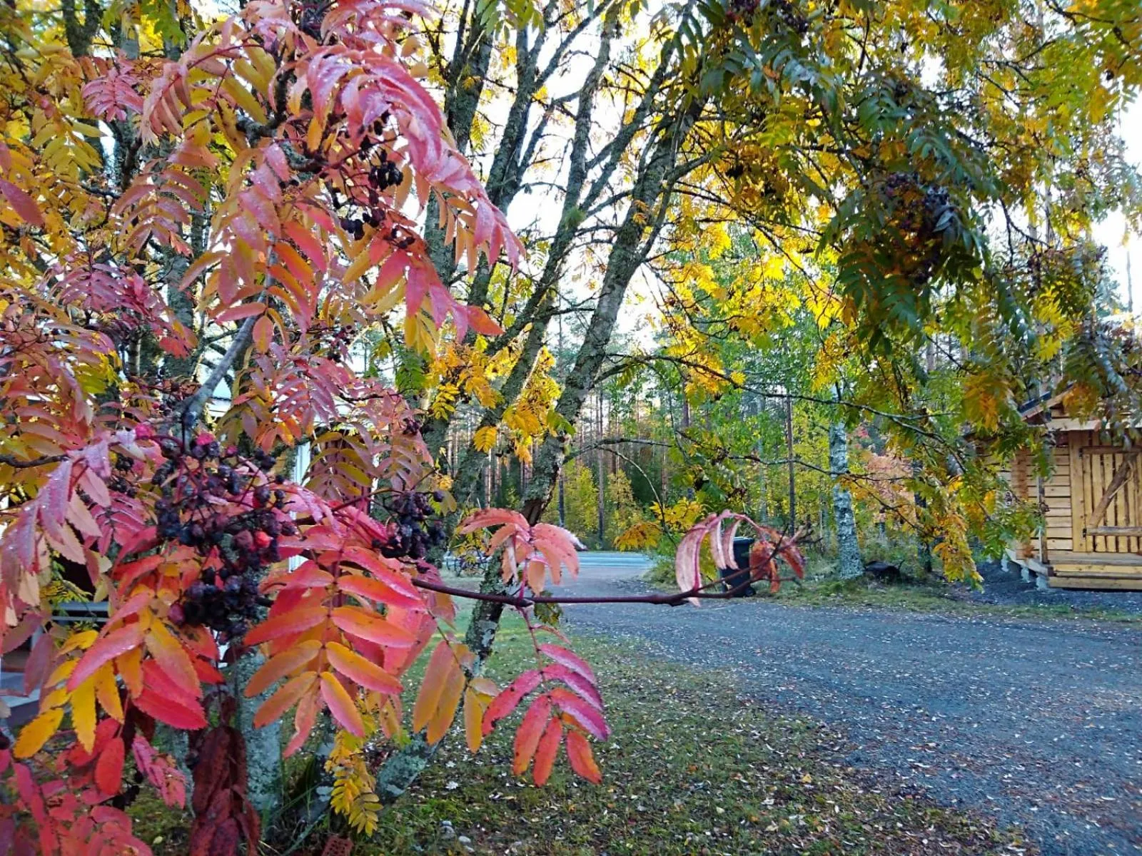 Karkausmäen Kammari