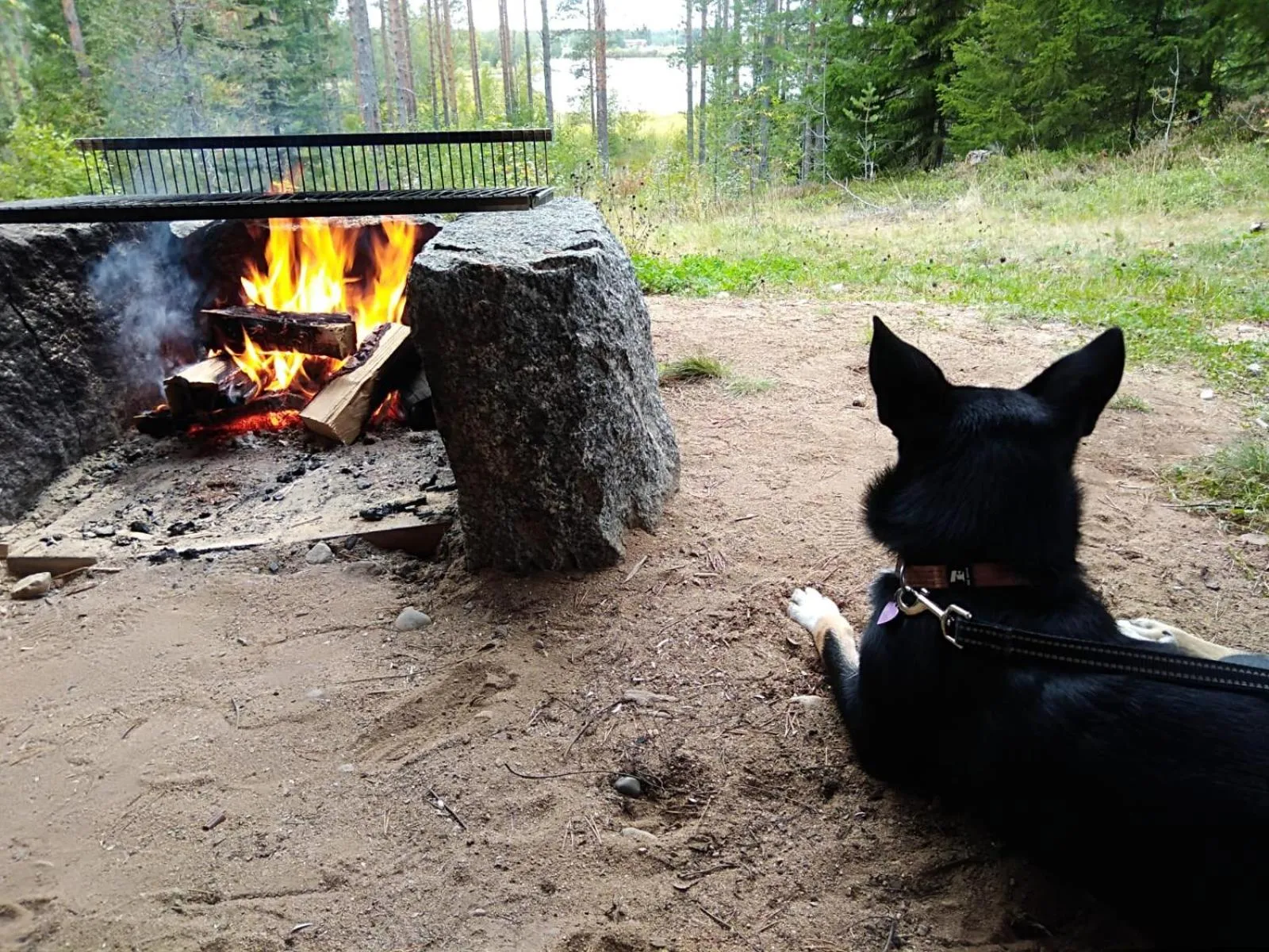 BBQ facilities in Karkausmäen Kammari