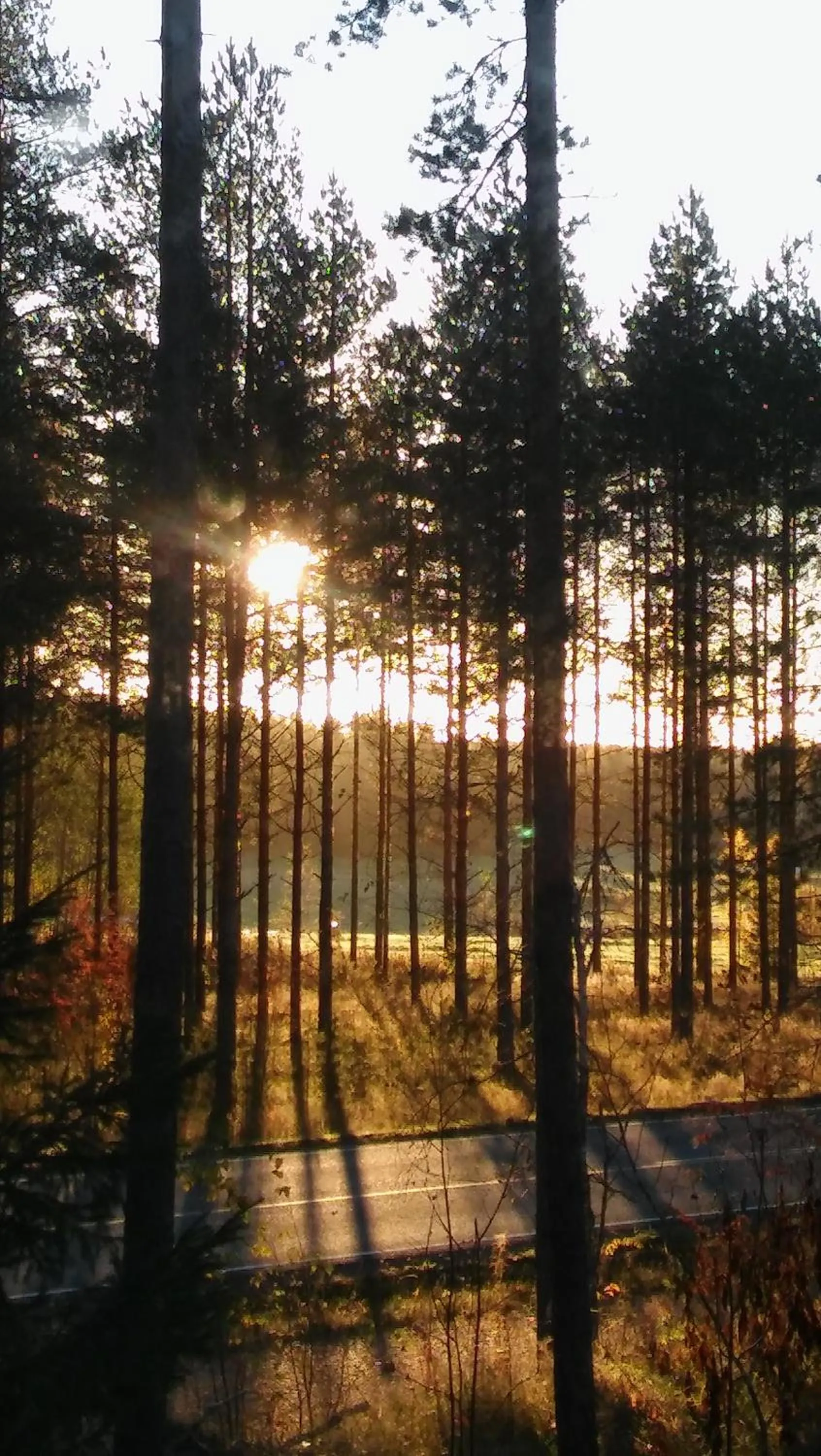 Neighbourhood in Karkausmäen Kammari