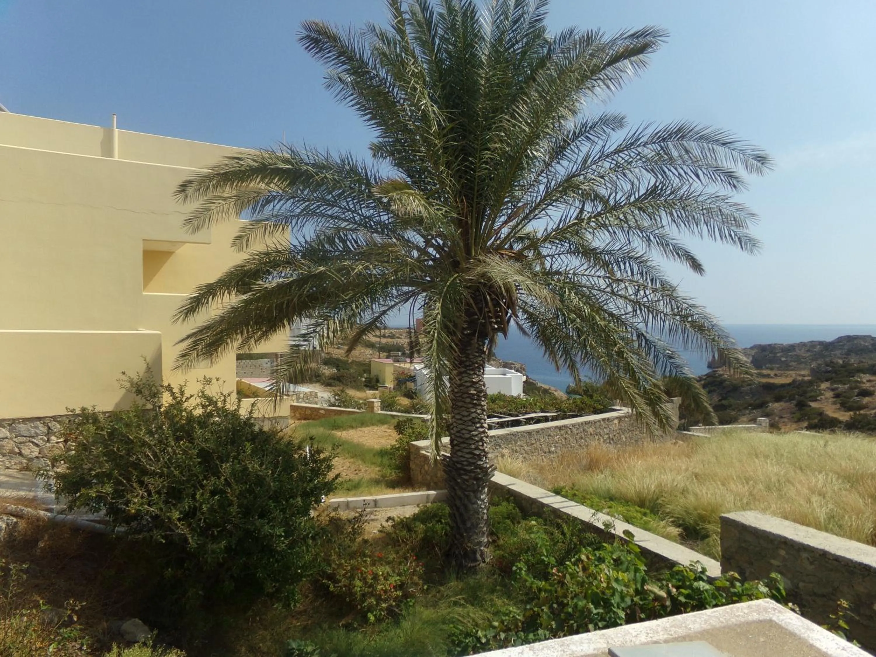 Natural landscape in Mikes Apts