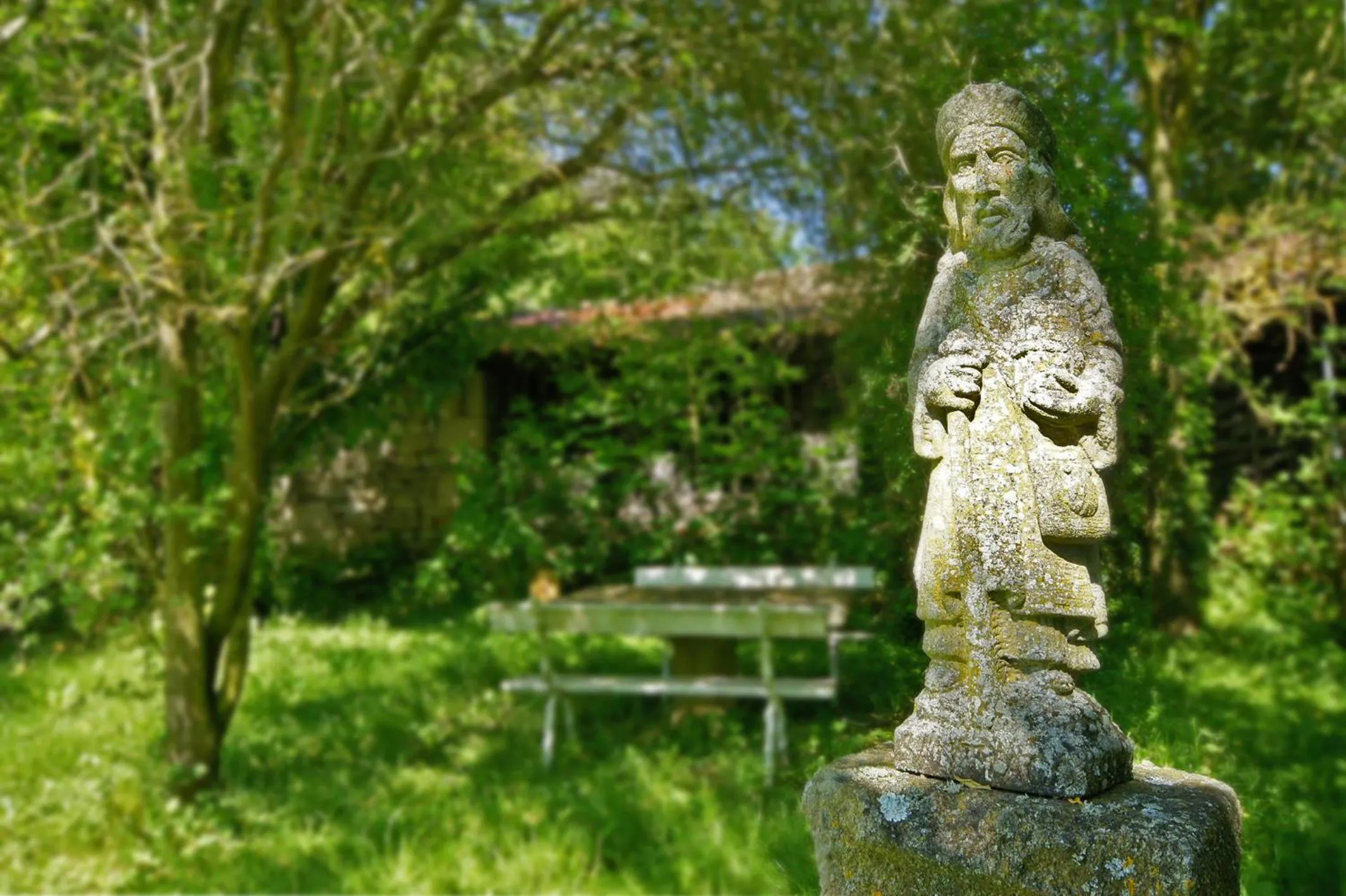 Garden in Casa Grande De Trives